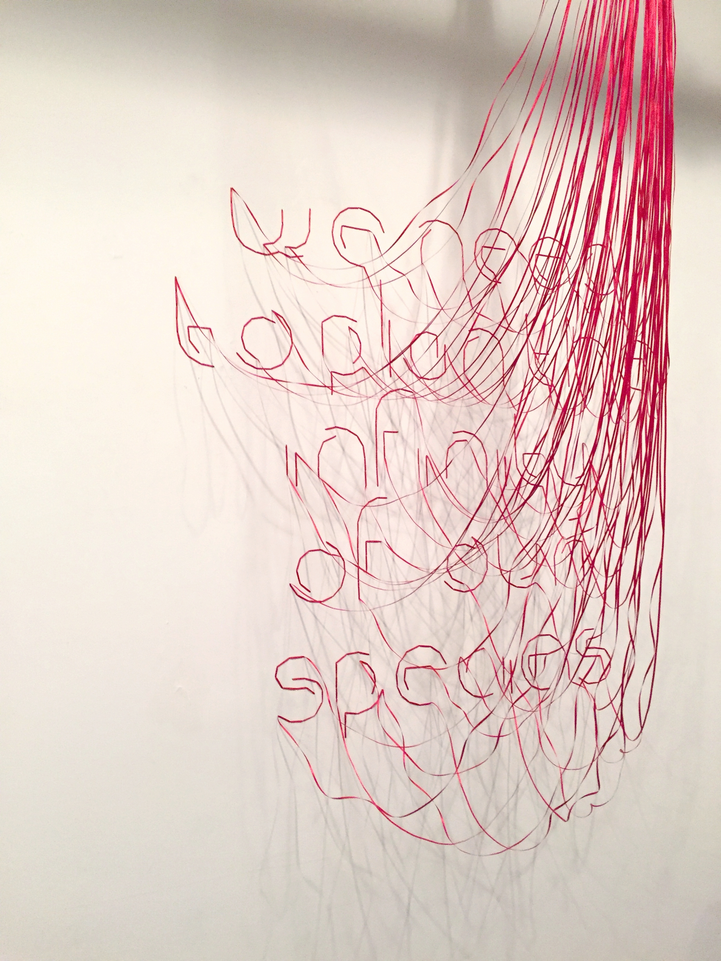 We Need to Plan the Infinity of Our Species, 2016. Ribbon installation at CPI/21st St. Projects, NYC.