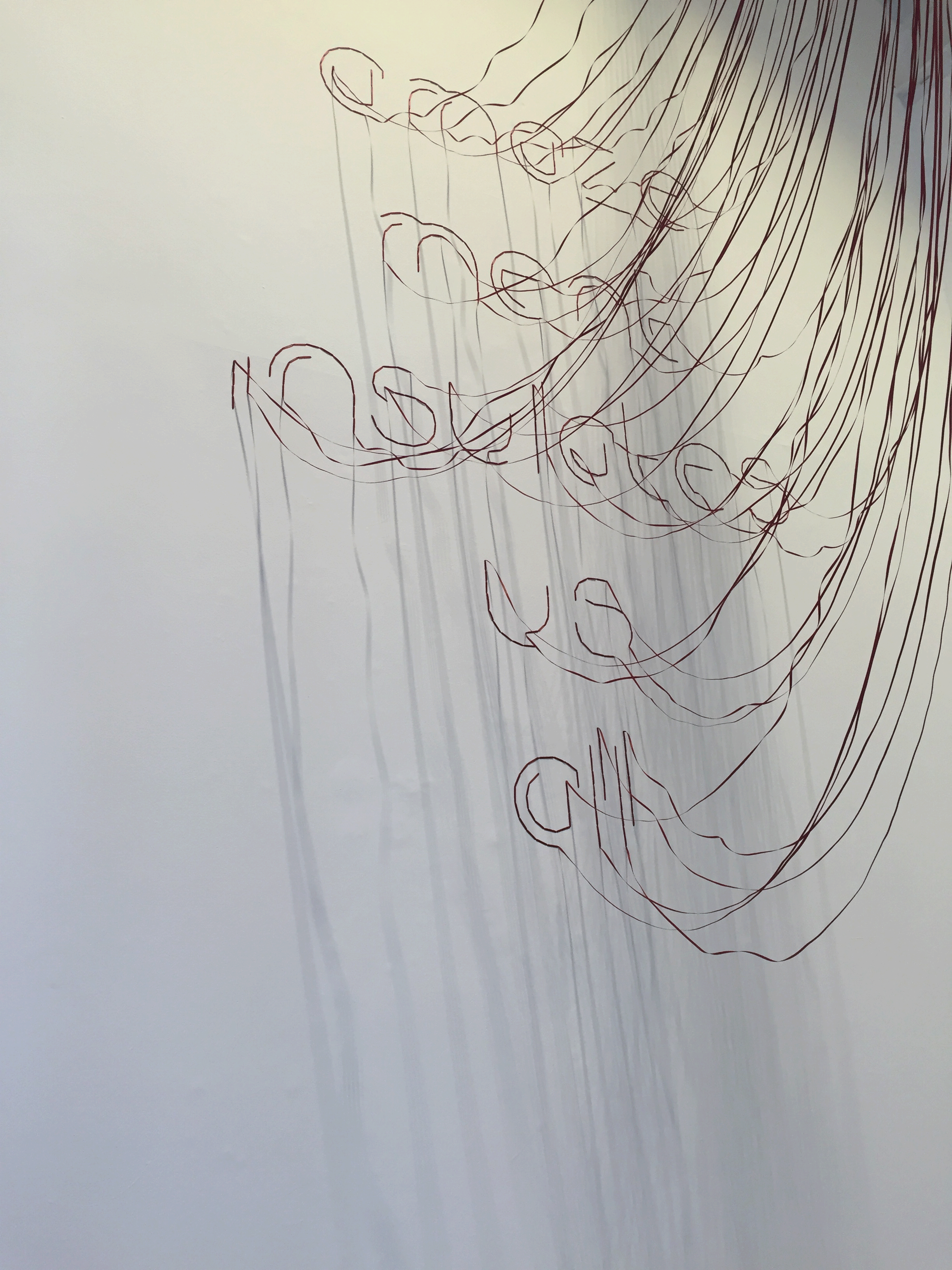 Amazement Insulates Us All, 2015. Ribbon installation at the Lab Gallery, Dublin, Ireland.