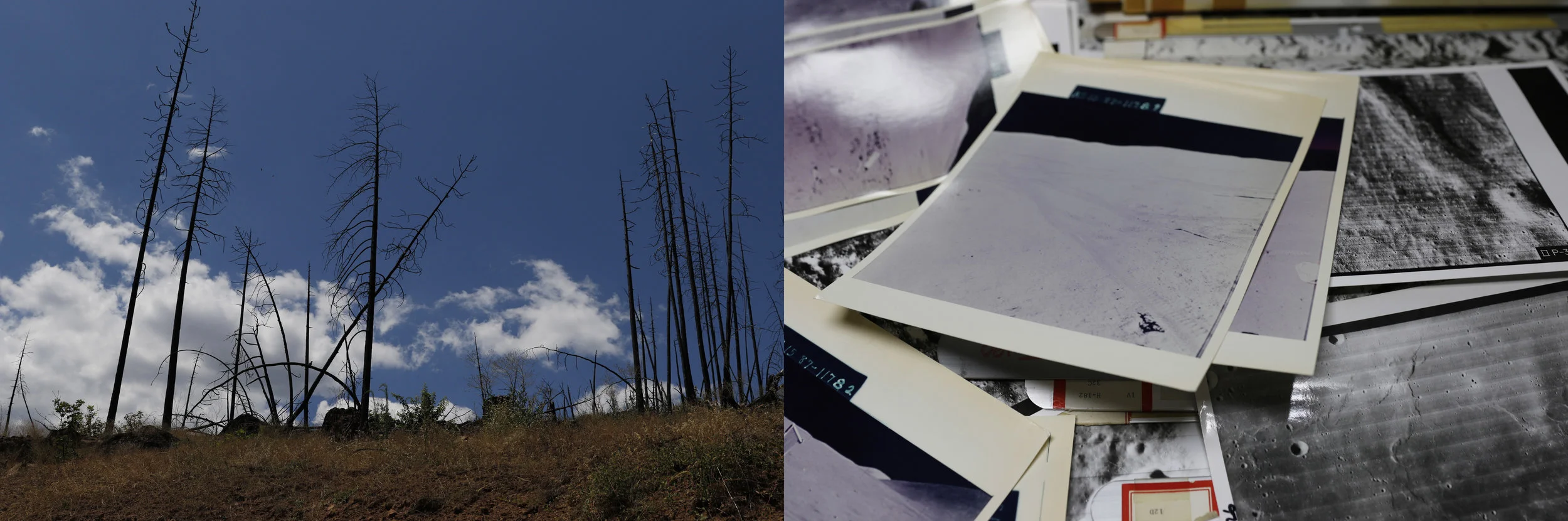 Culture With and Without Atmosphere, 2016.