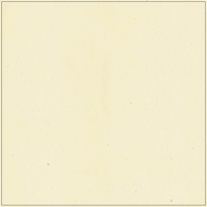 Subway Tile Backsplash - 3" x 6" - Alabaster Matte