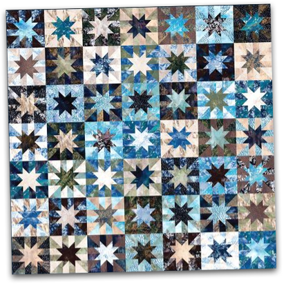  Challenge Star Quilt by Karen Nyberg. 