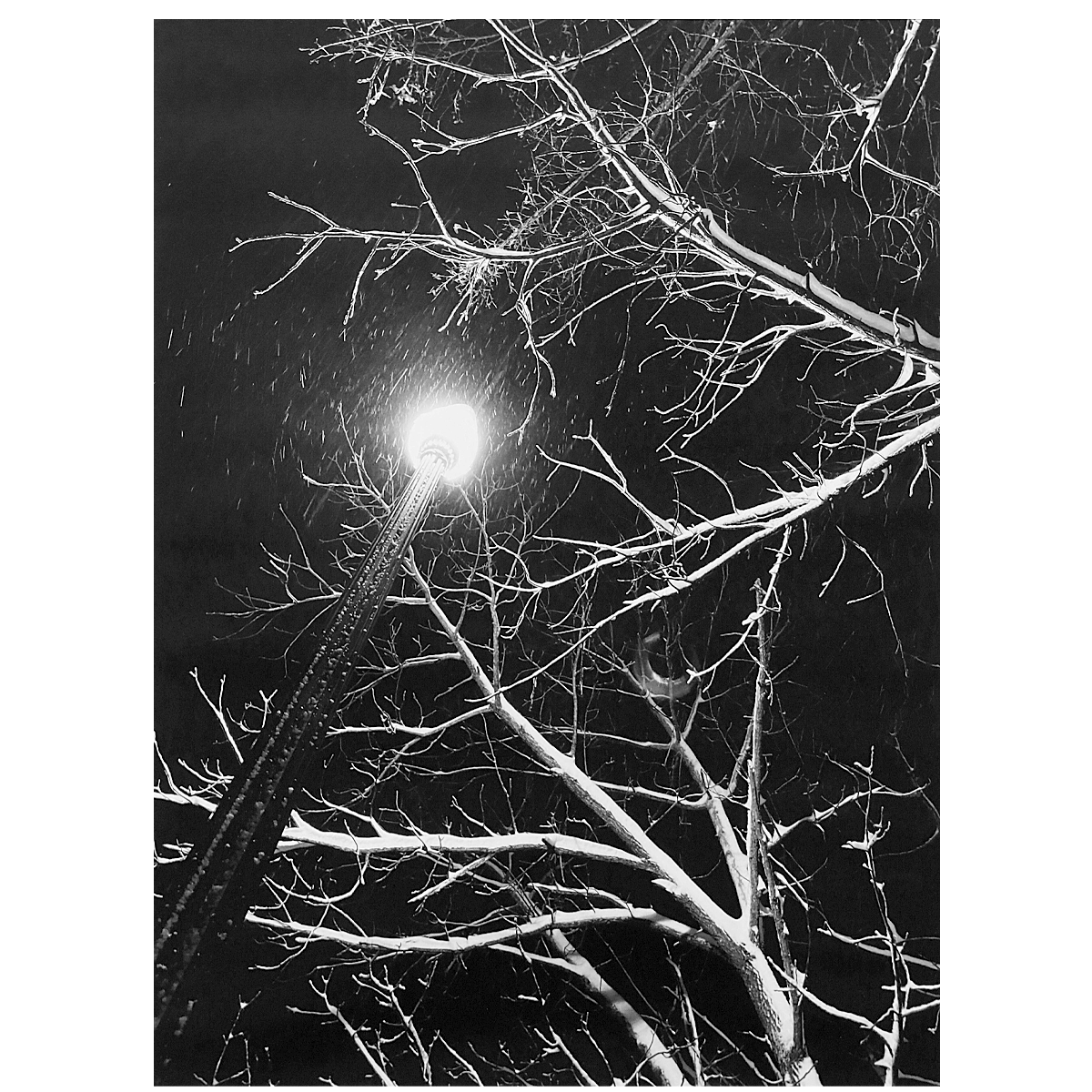 Nighttime-Snowfall-PHoto.png