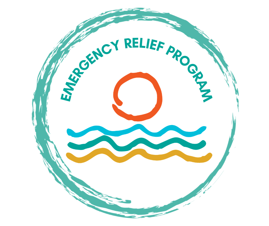 Emergency Relief Program — Lake Region Arts Council