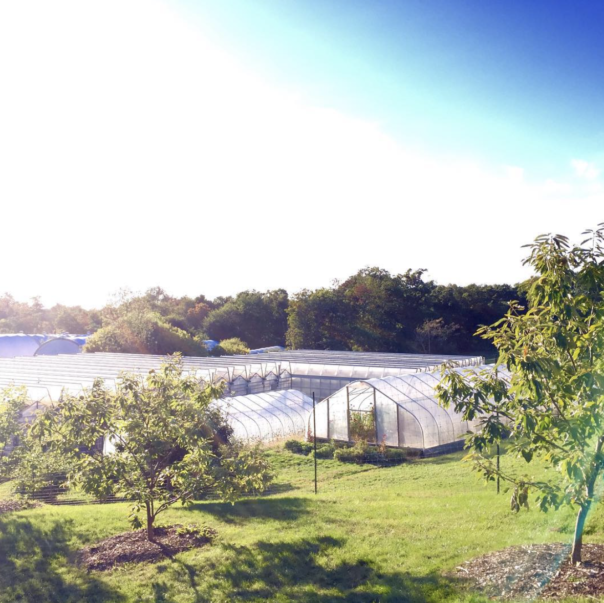 Screen Shot 2017-01-05 at 2.35.43 PM.png