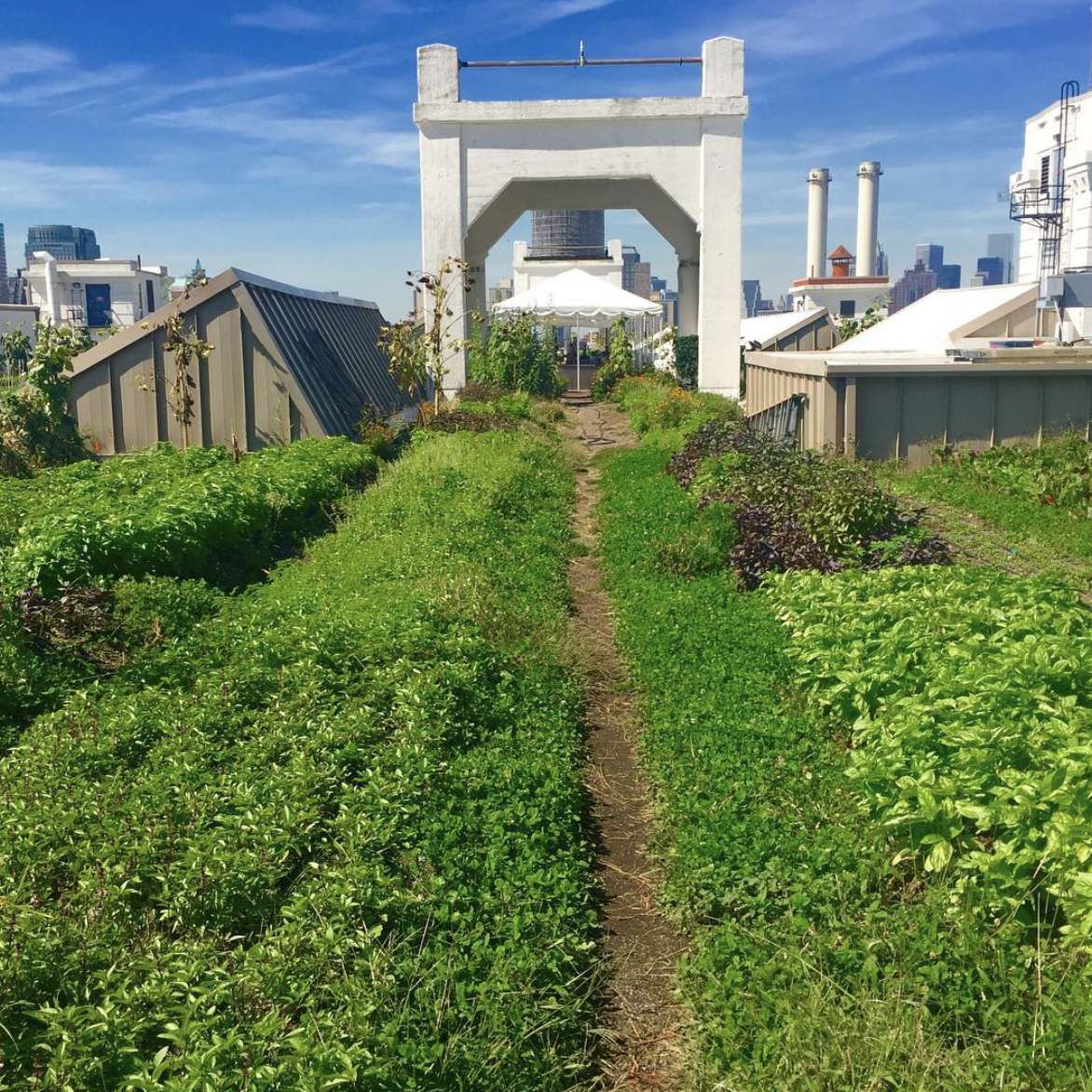 Screen Shot 2017-01-05 at 2.36.40 PM.png