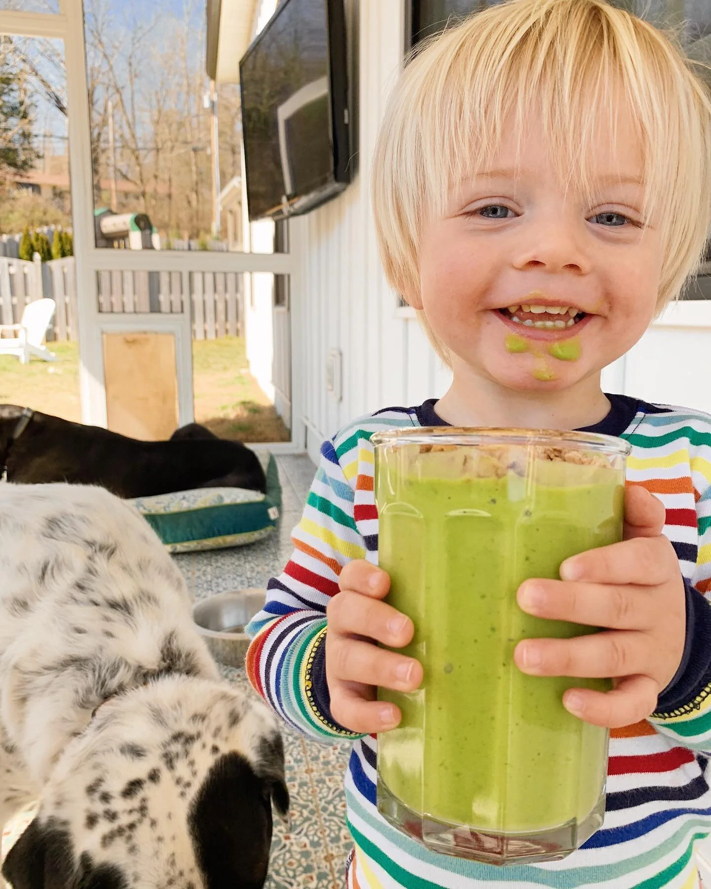 this was definitely intended to be *my* lunch 🧐 #toddlersofinstagram #toddlerlife #greensmoothie #intuitiveeating