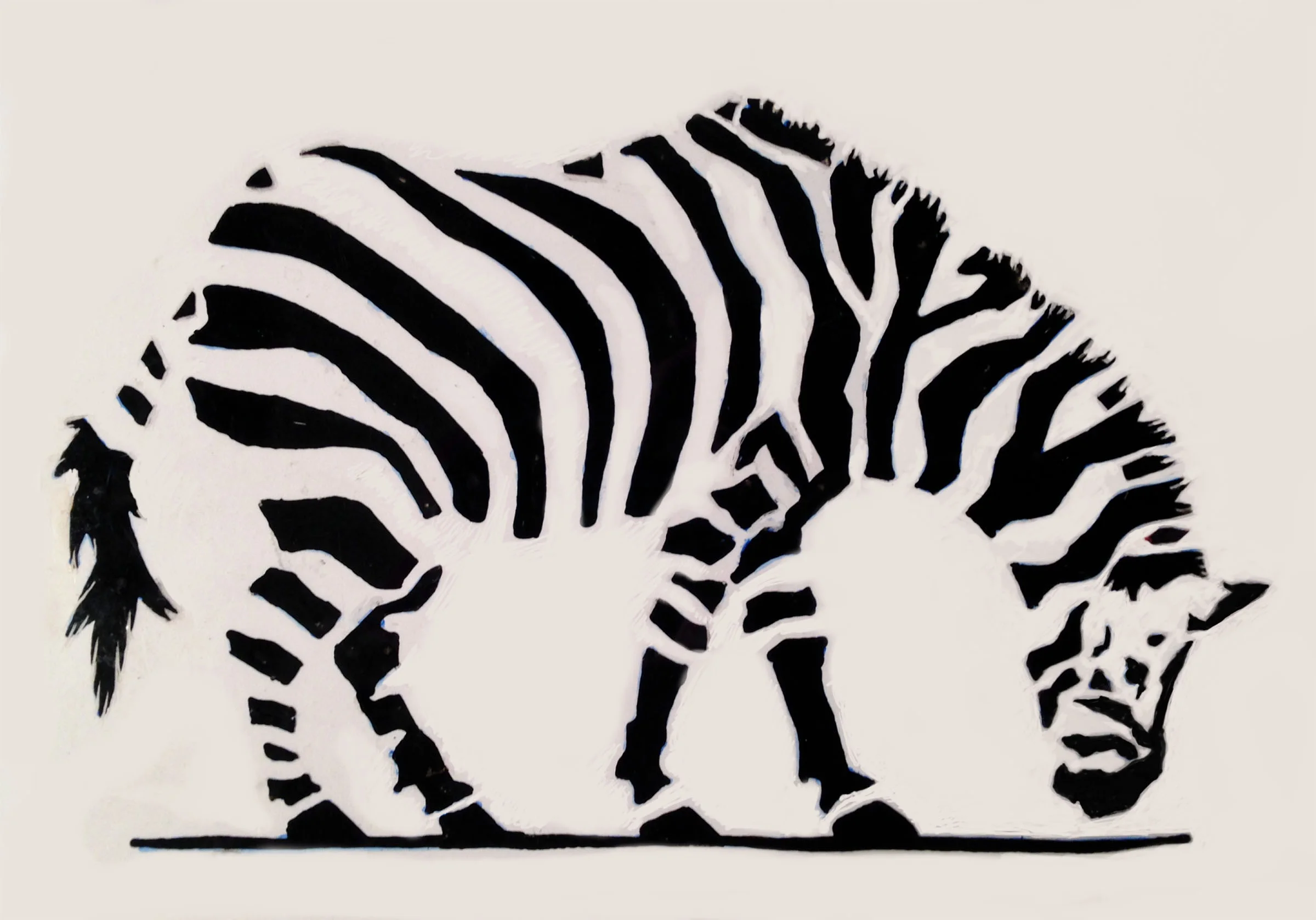 Zebra , 2016. Giclee print on Photographique paper. 