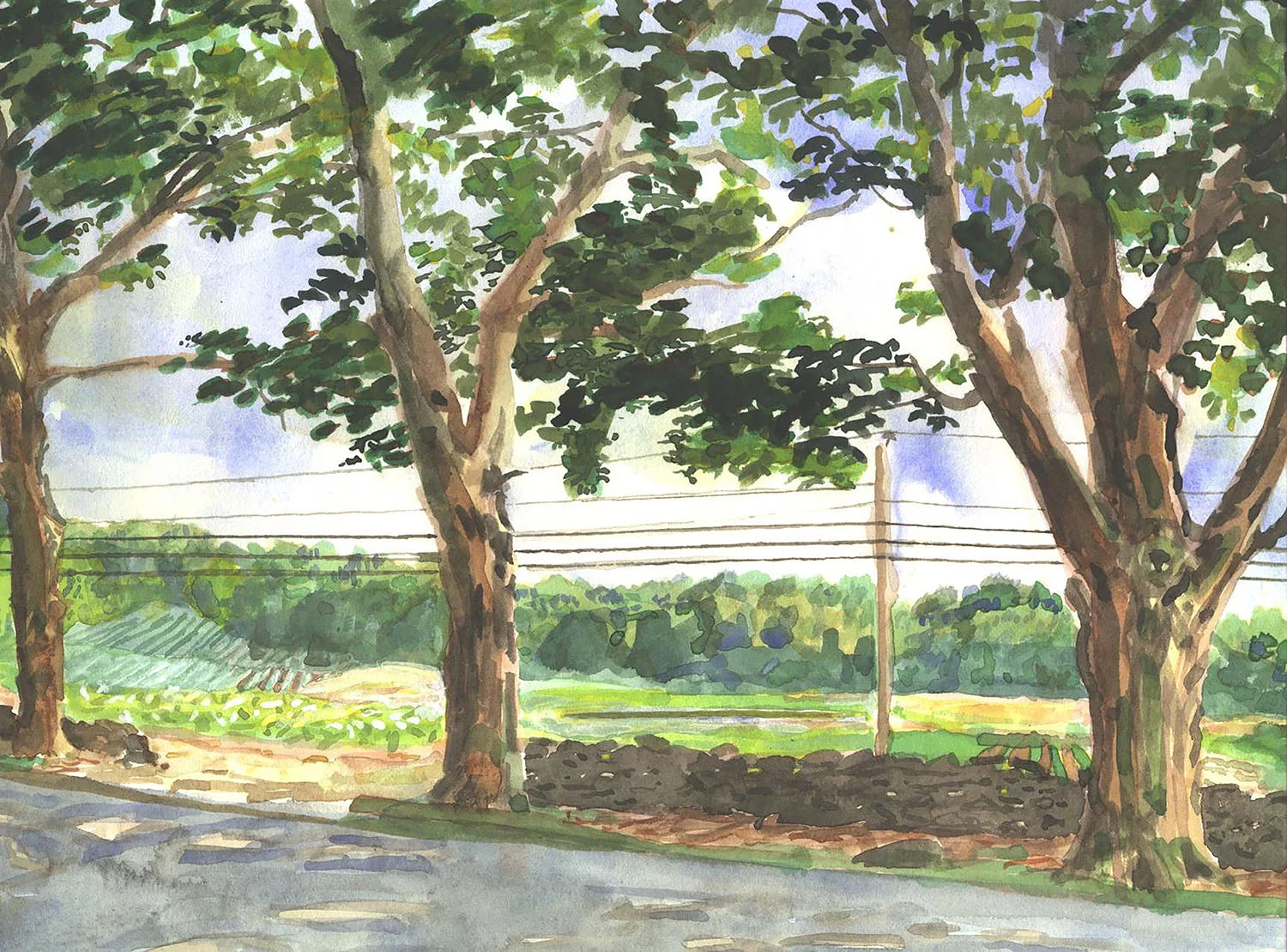 Maple Lanes Farms, 1996 Gouache