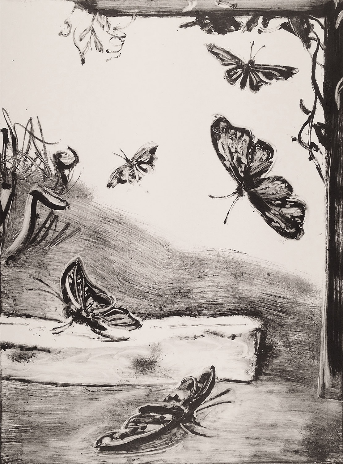    Butterflies   , &nbsp;2018 Monotype. 24" X 18". 