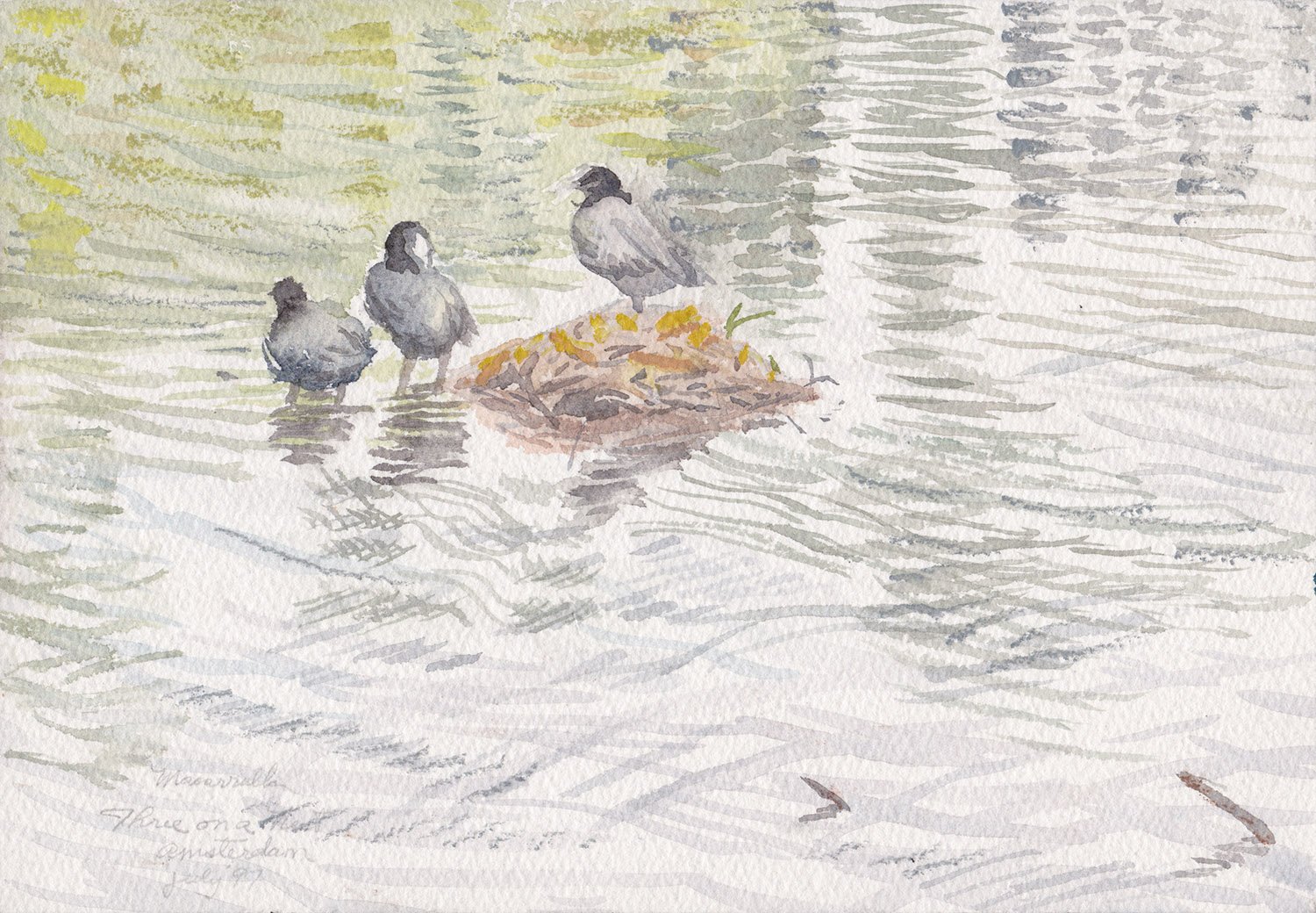    Three on a Nest (Amsterdam),   1997. Watercolor. x” X x”. 
