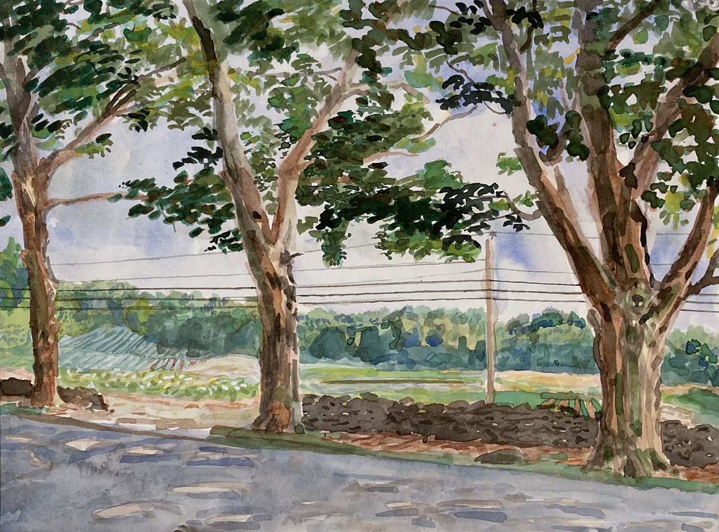    Maple Lanes Farms,   1996. Watercolor. 9” X 12”. 