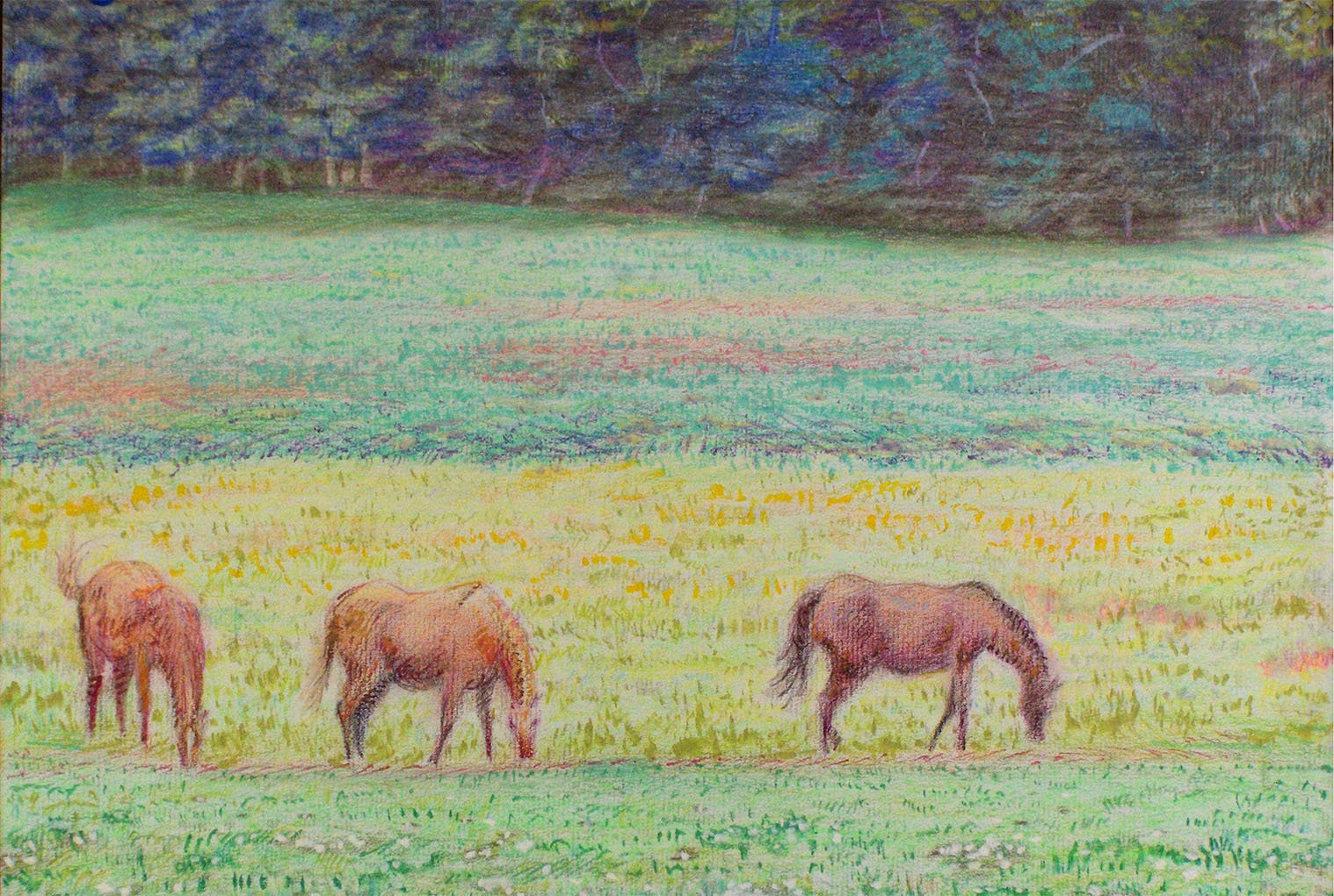    Horses in the field,   2006. Watercolor pencils. 11” X 14”. 