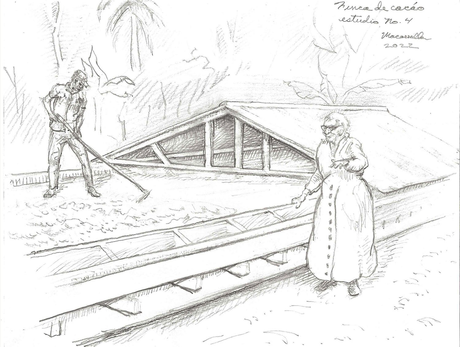  Cocoa Farm No. 4, 2022. Pencil. 9” X 12”. 