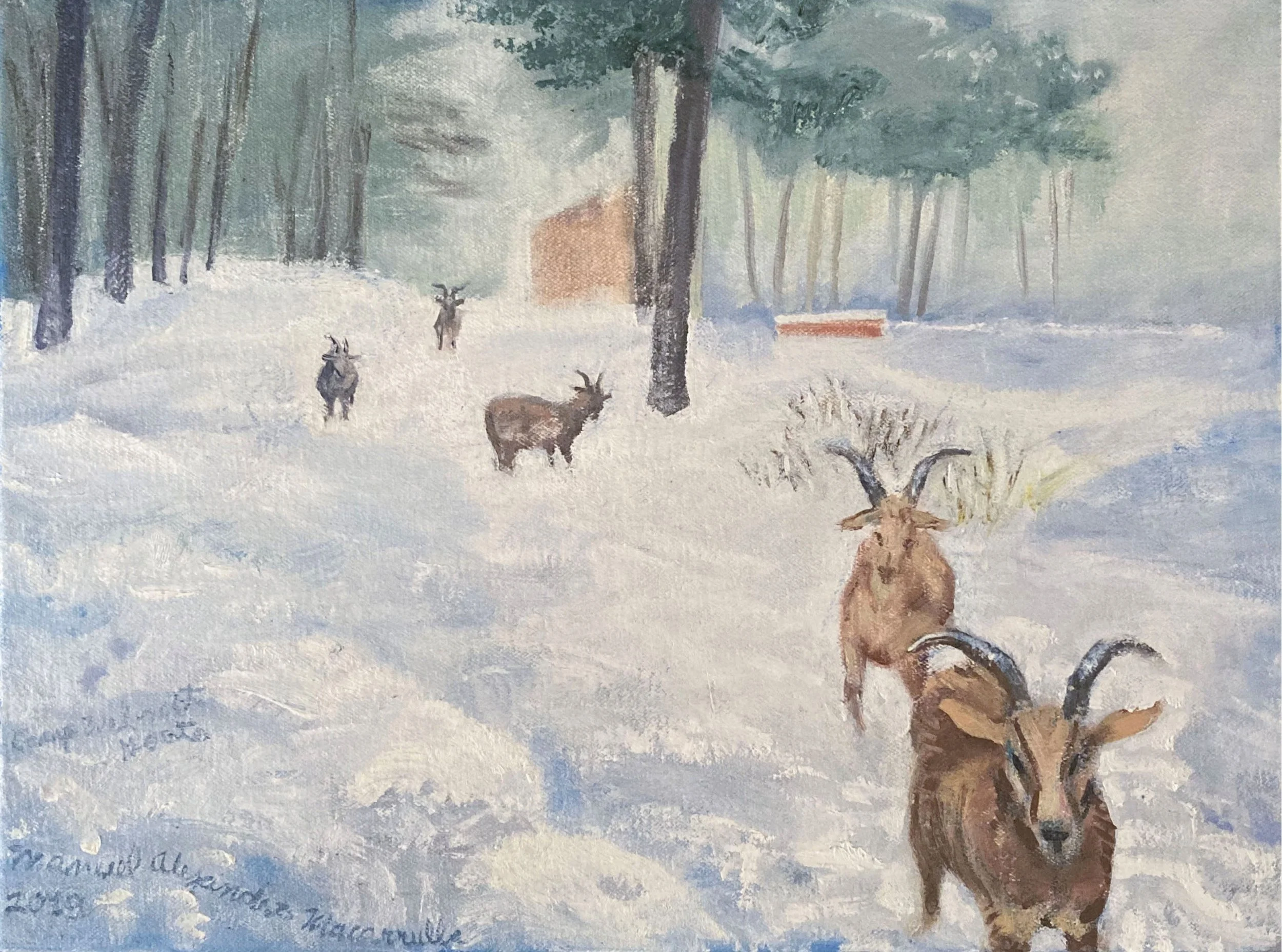Camp WelMet Goats in the Snow_2019_Oil_12X16.jpg