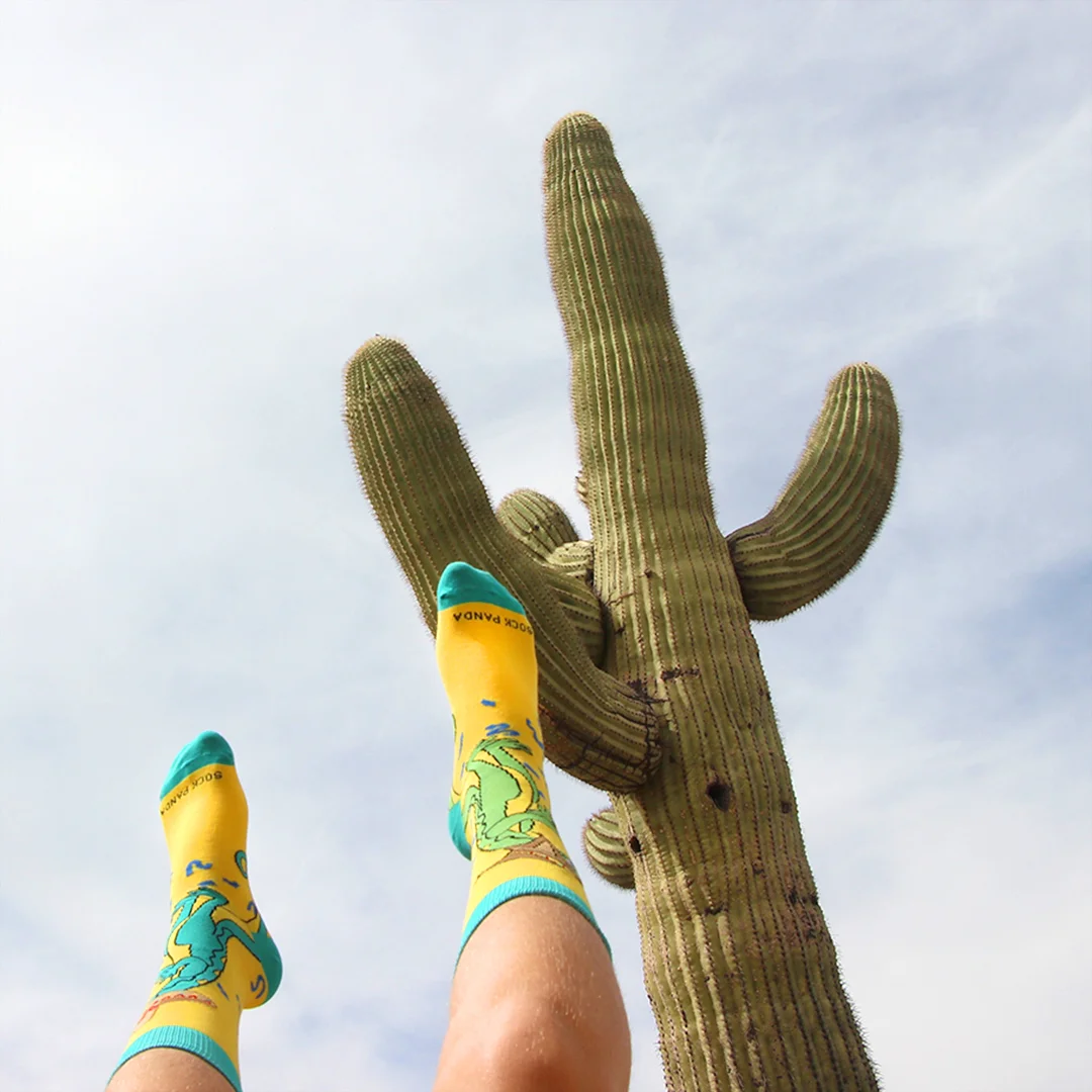 Cactus in the Air.jpg