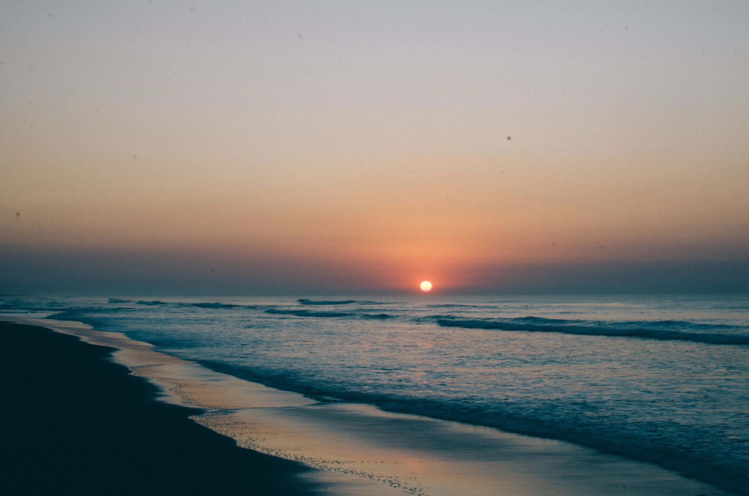 DSC_1410.jpg