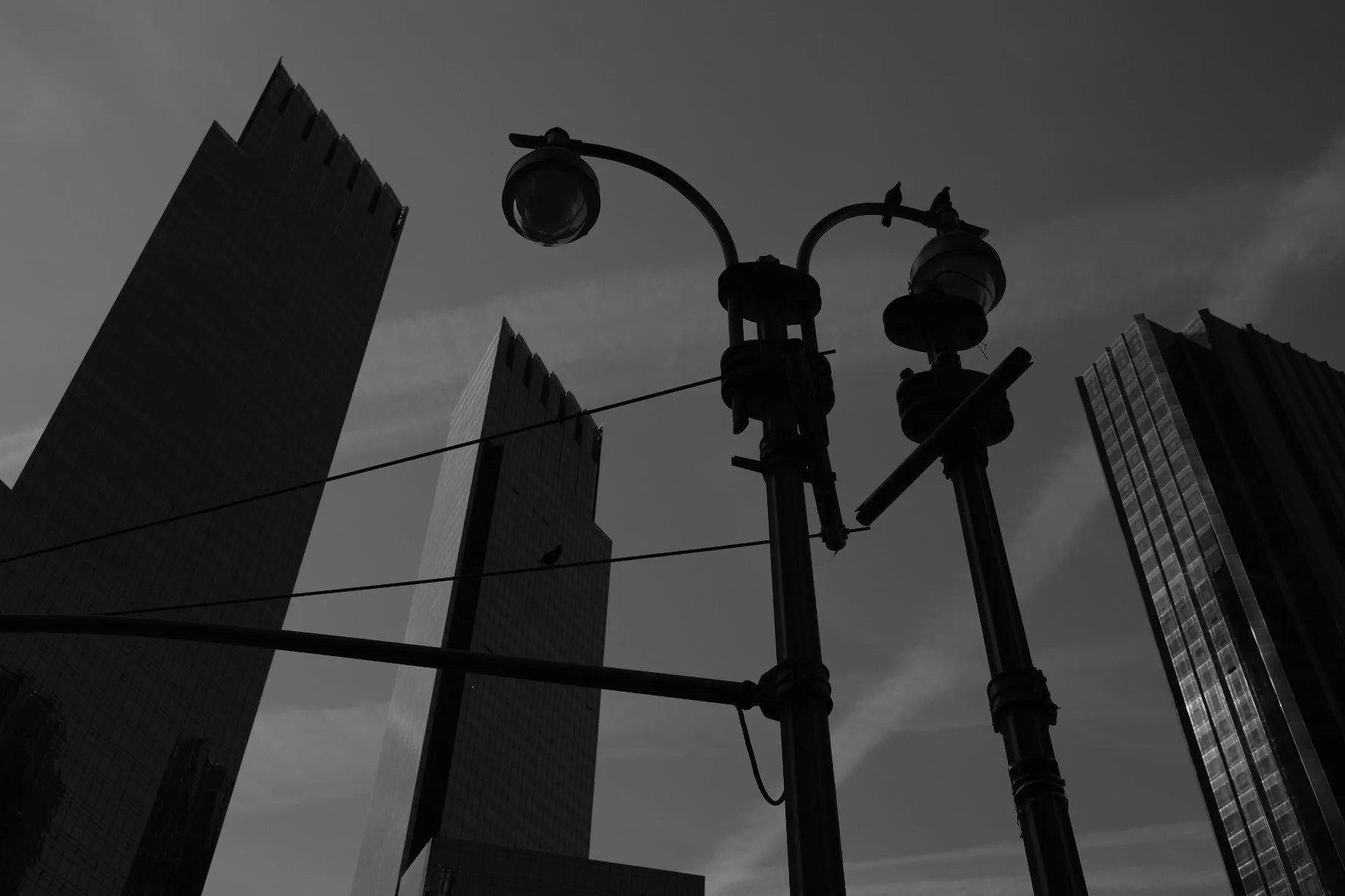 DSCF4372.jpg