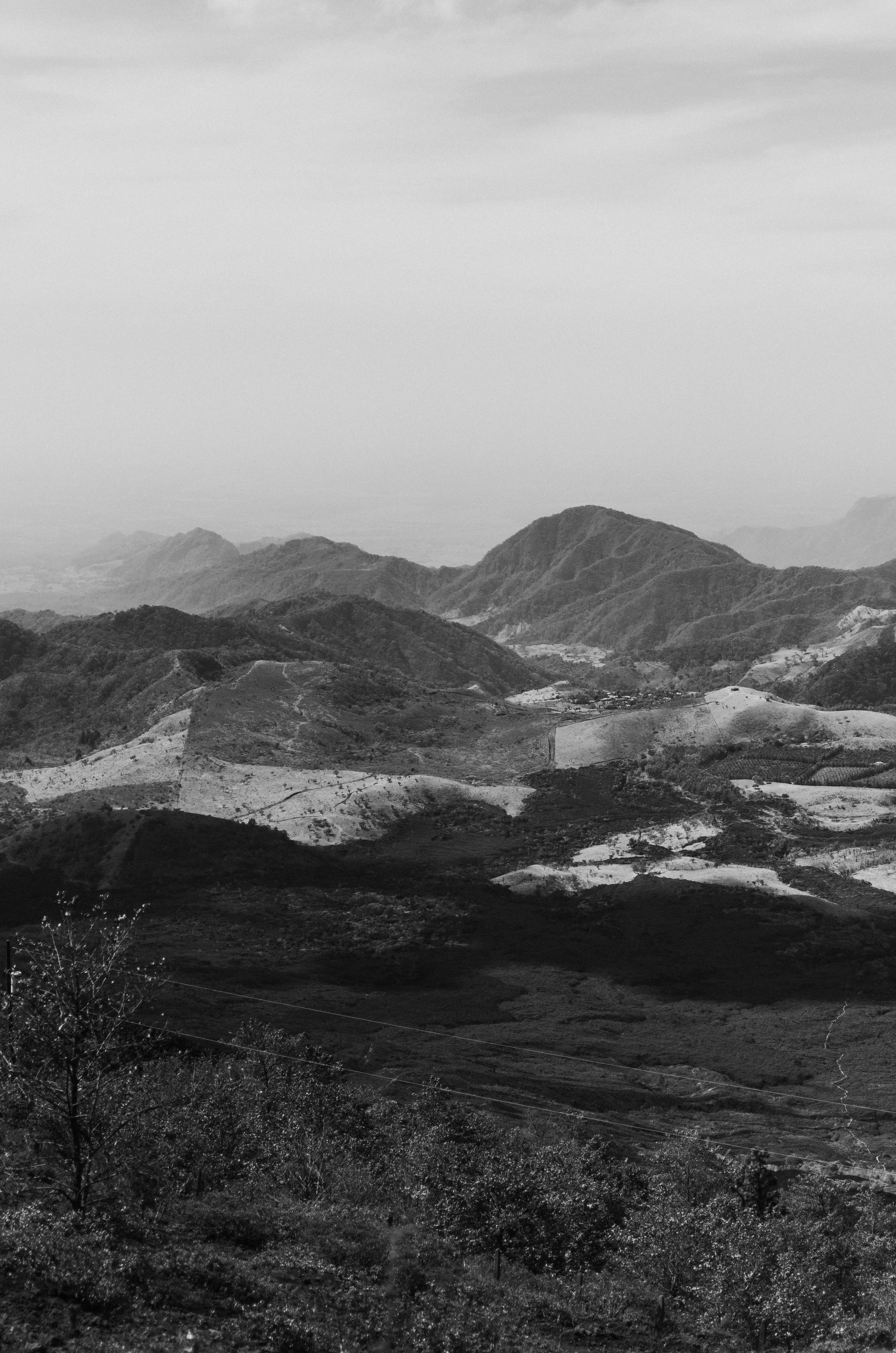 DSC_4509.jpg