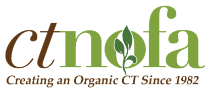logo.gif