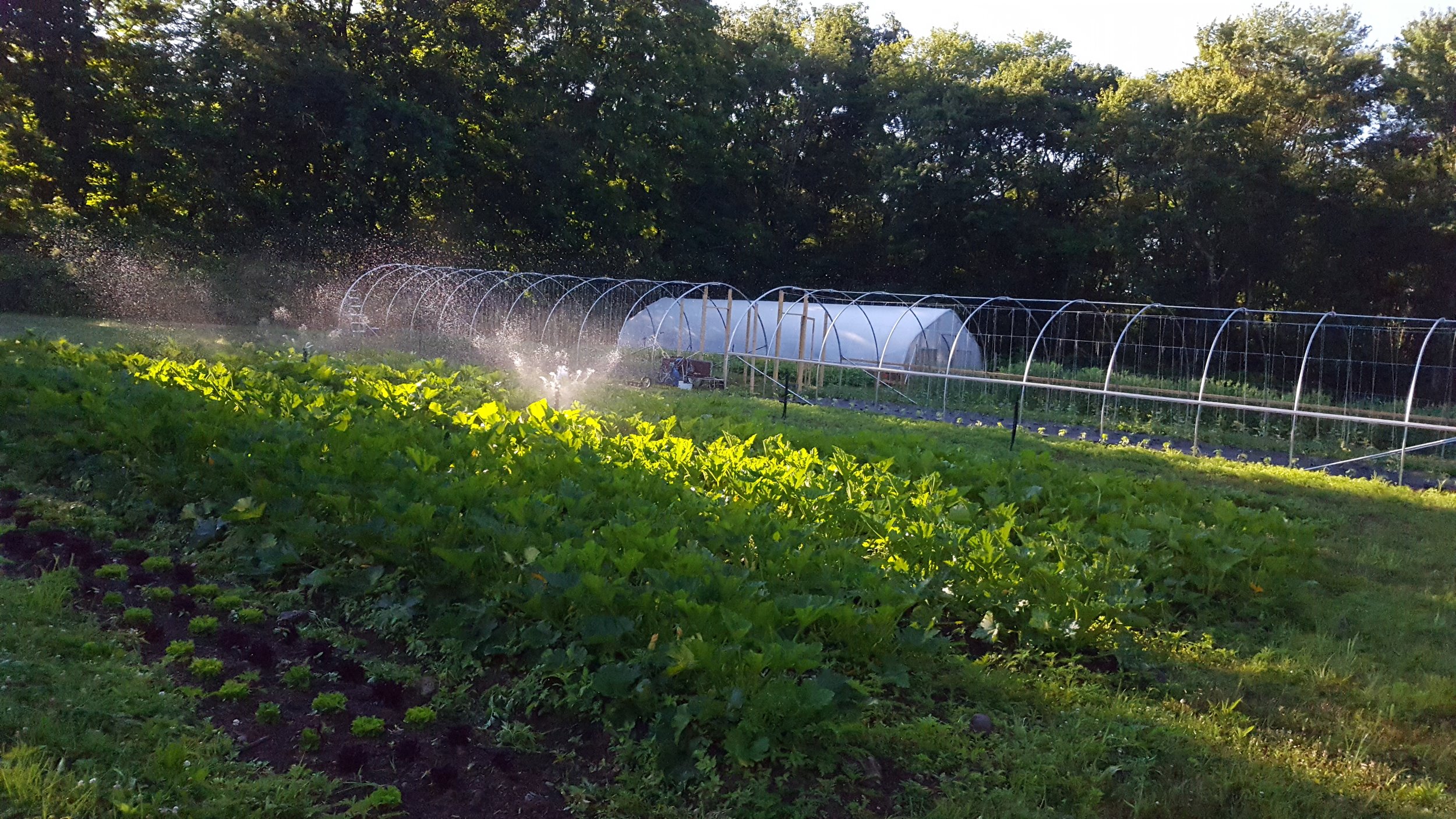 20180710_073737.jpg