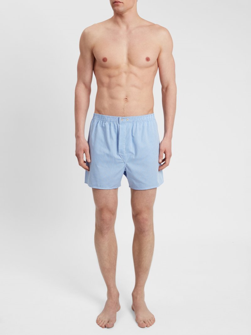 mens_classic_fit_boxer_shorts_gingham_cotton_check_blue_model.jpg