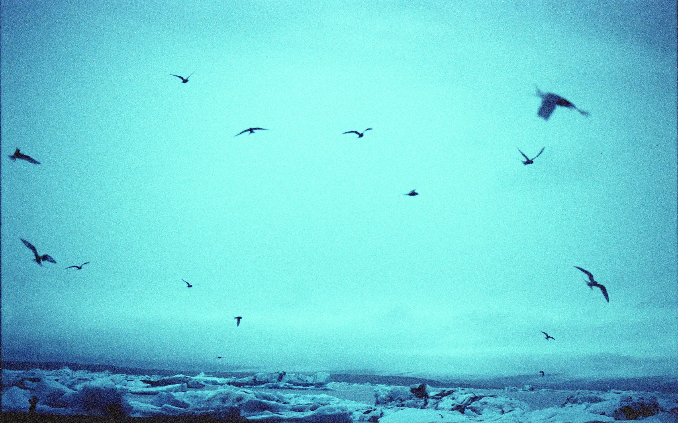 img011.jpg
