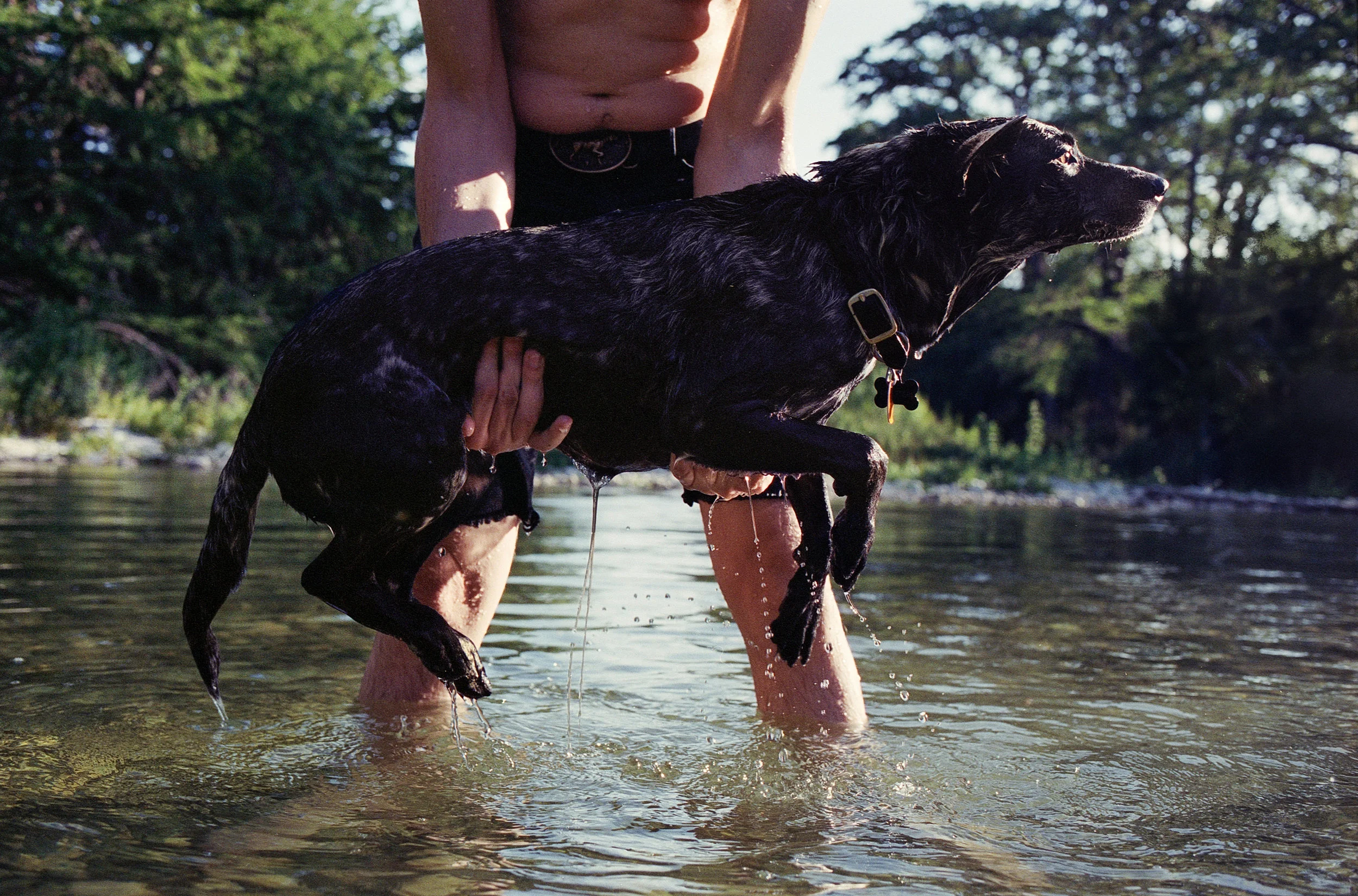 Bradly & Buster (Small).jpg