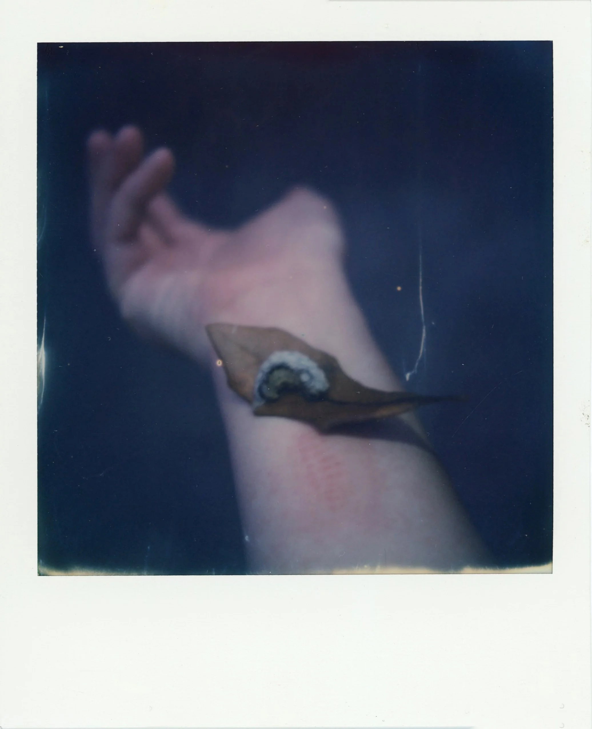 img039.jpg