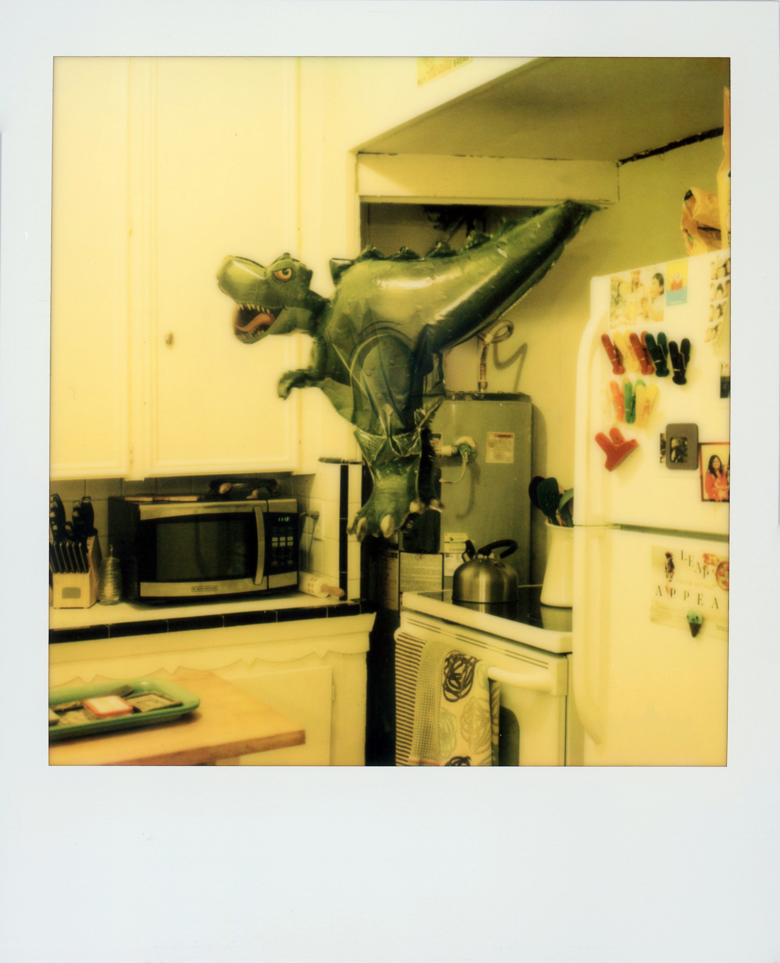 img237.jpg