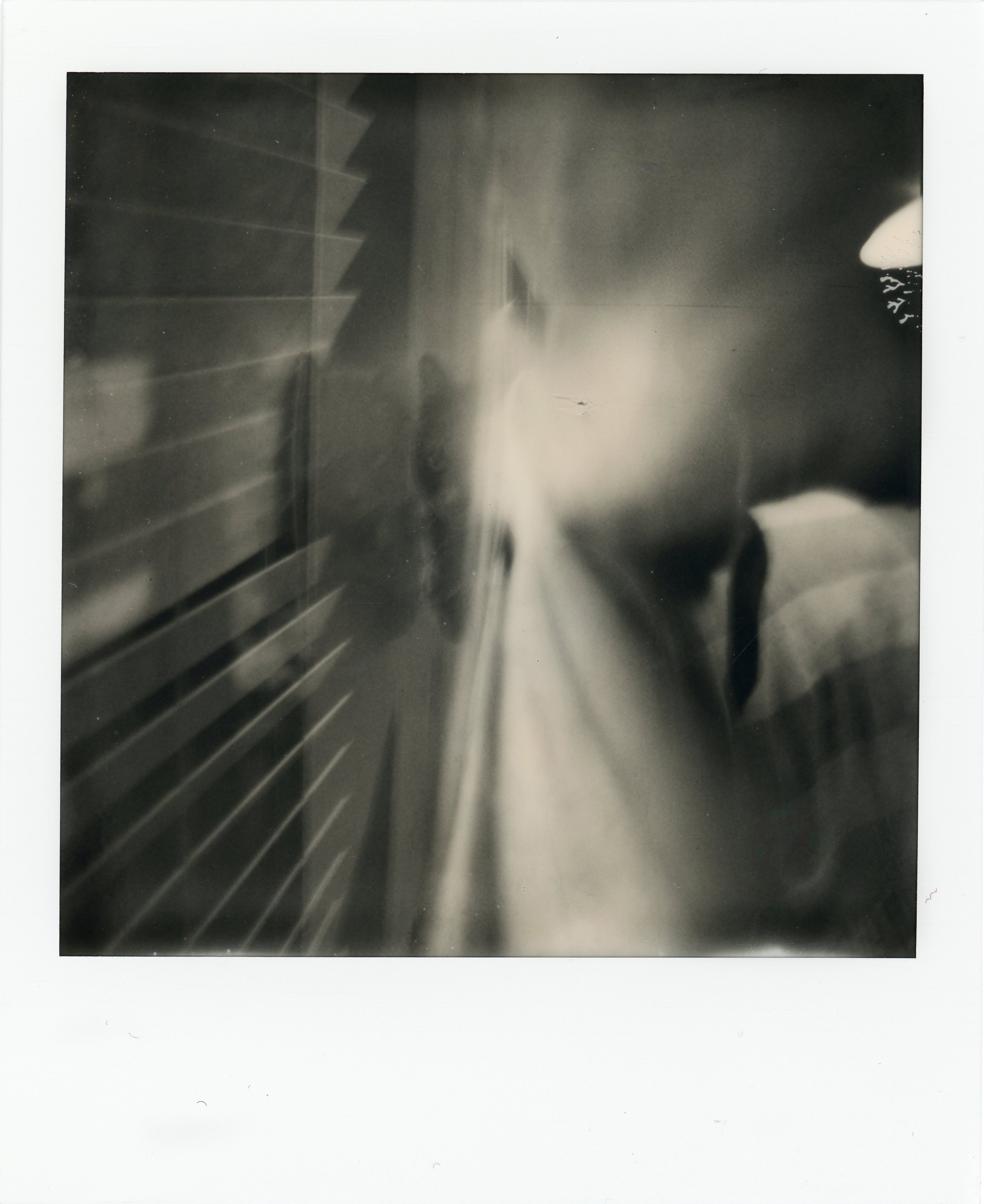 img222(white) (1 of 1).jpg