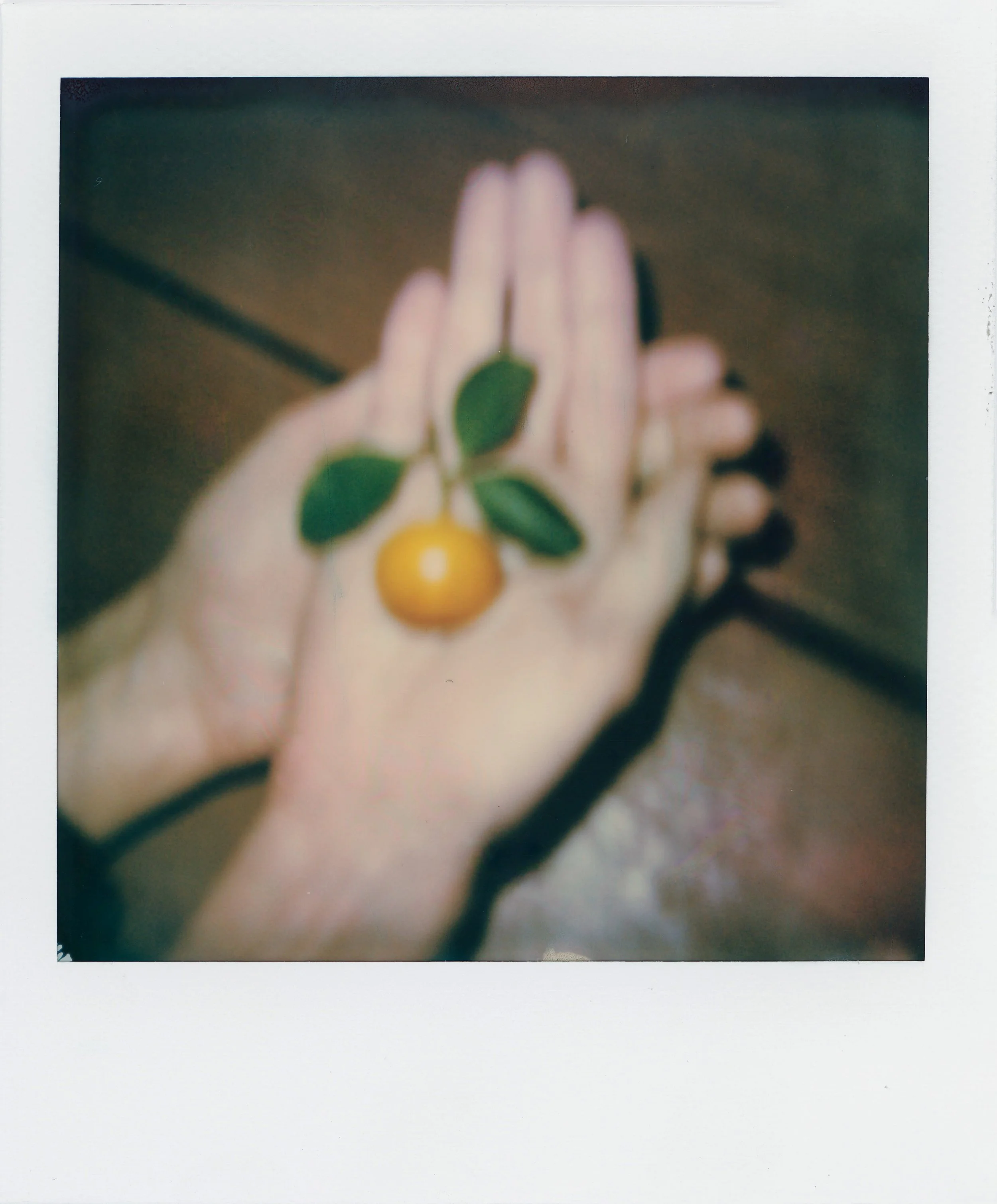 img374 (website).jpg