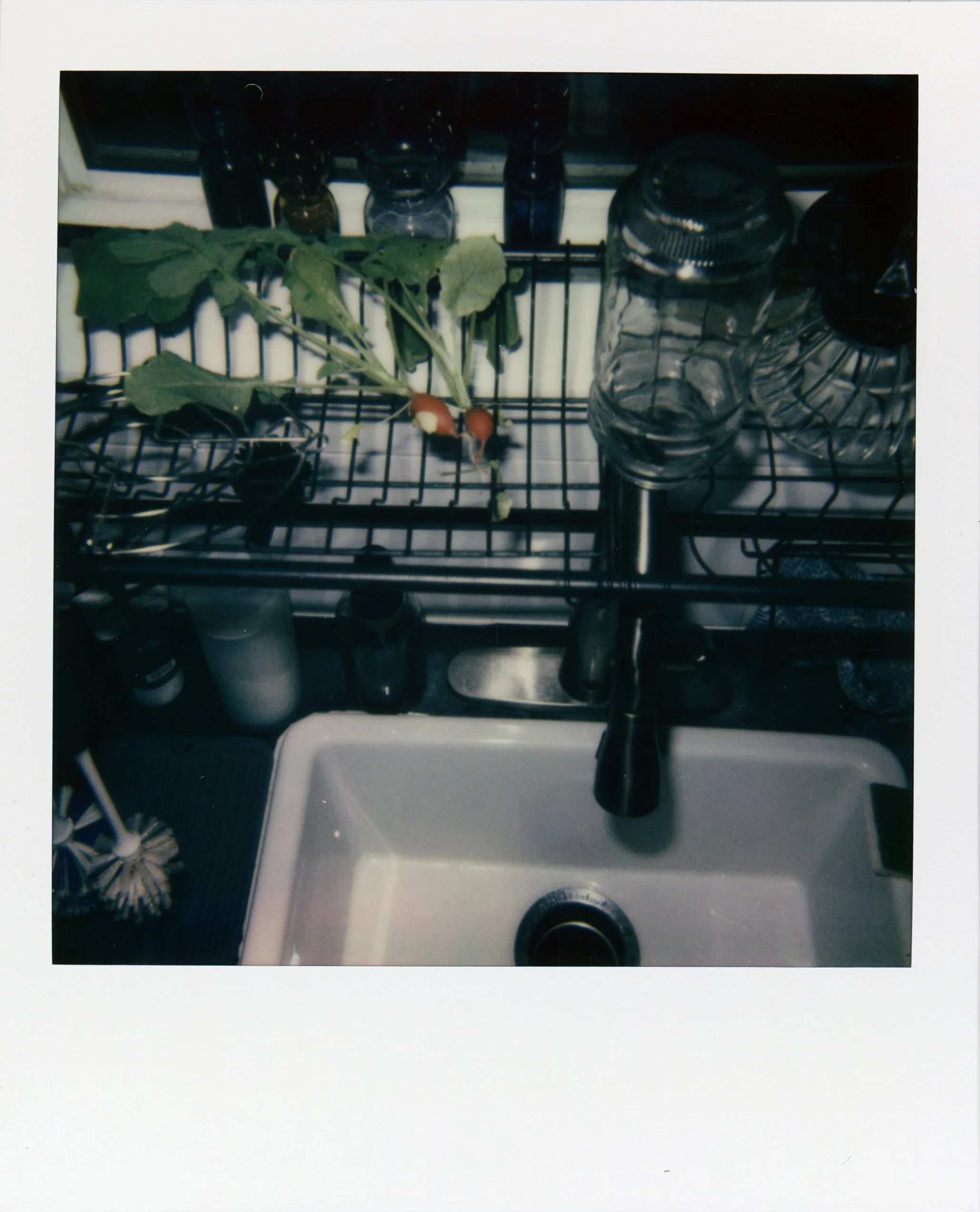 Polaroid 2025_4.jpg