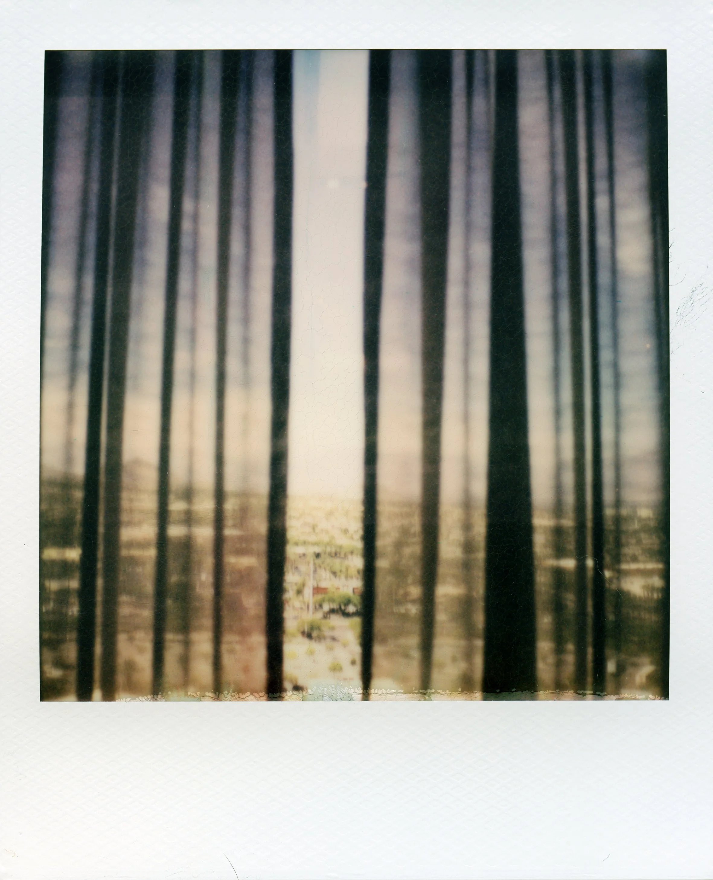 Polaroid 2025_16.jpg