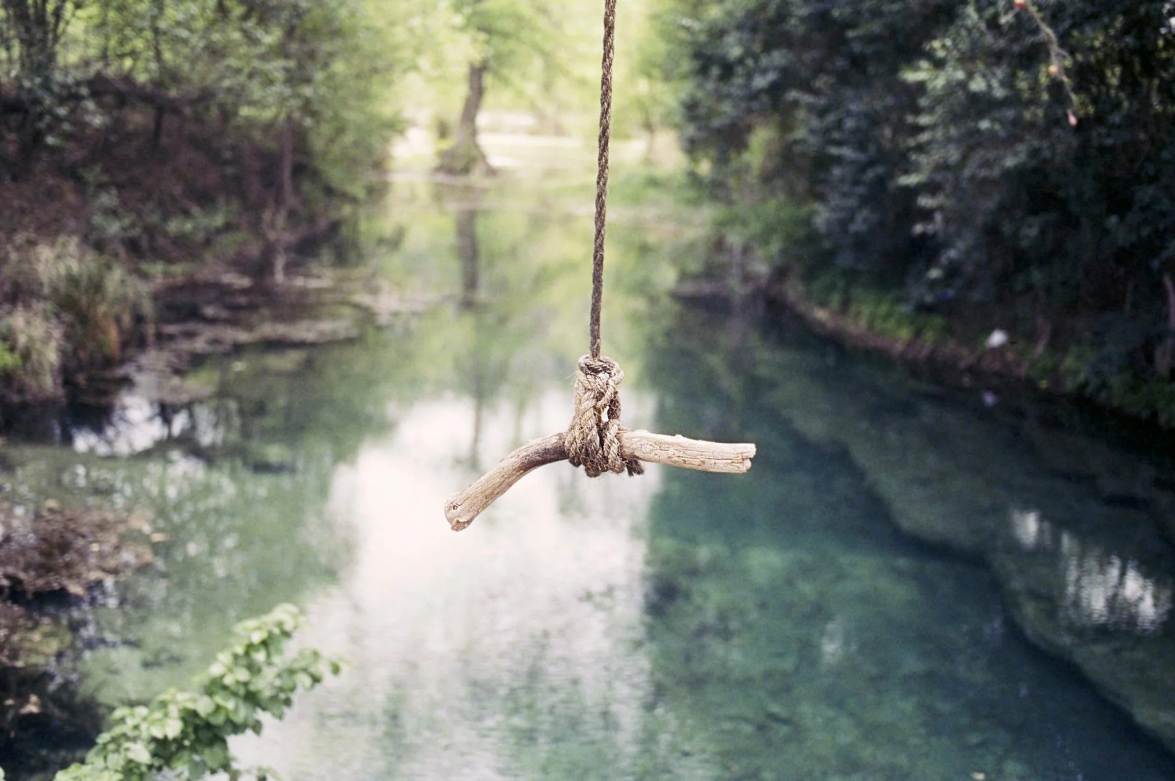 RiverHouse2020-rope-swing.jpg