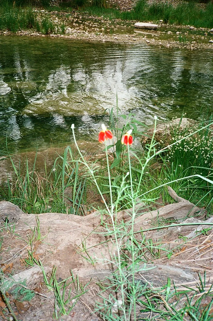 river house 20241.jpg