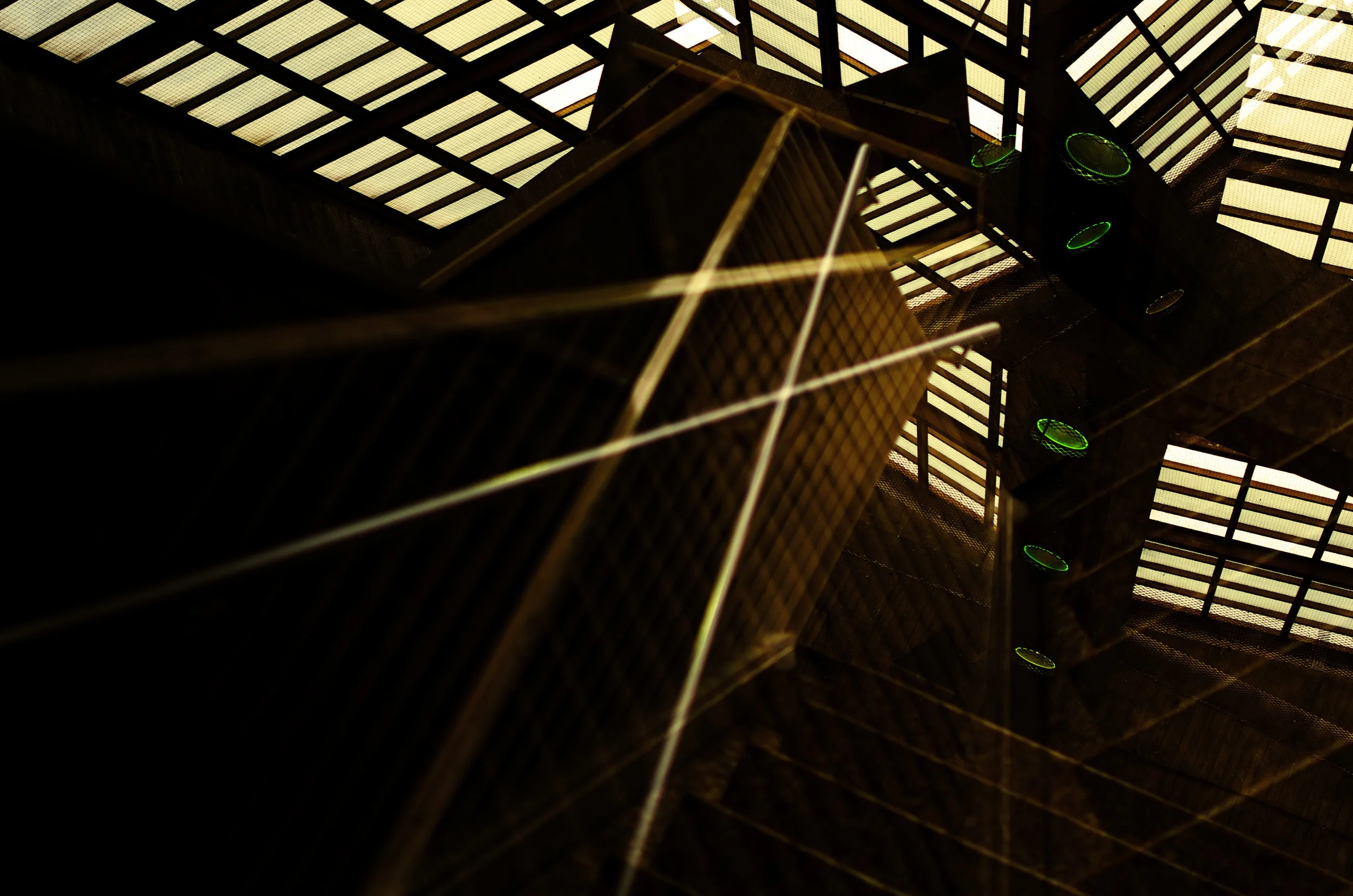 neo noir