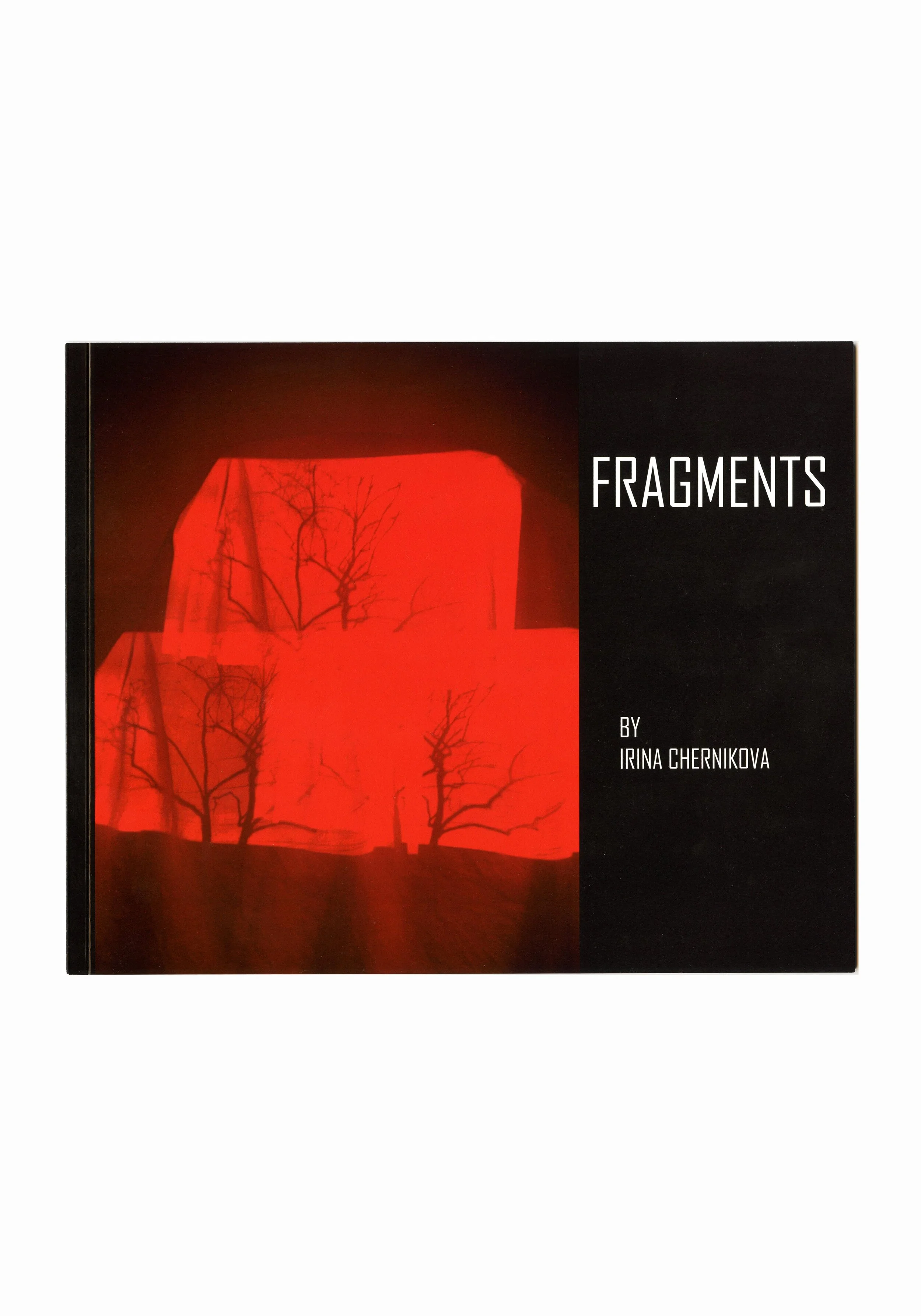 zine for website small.jpg