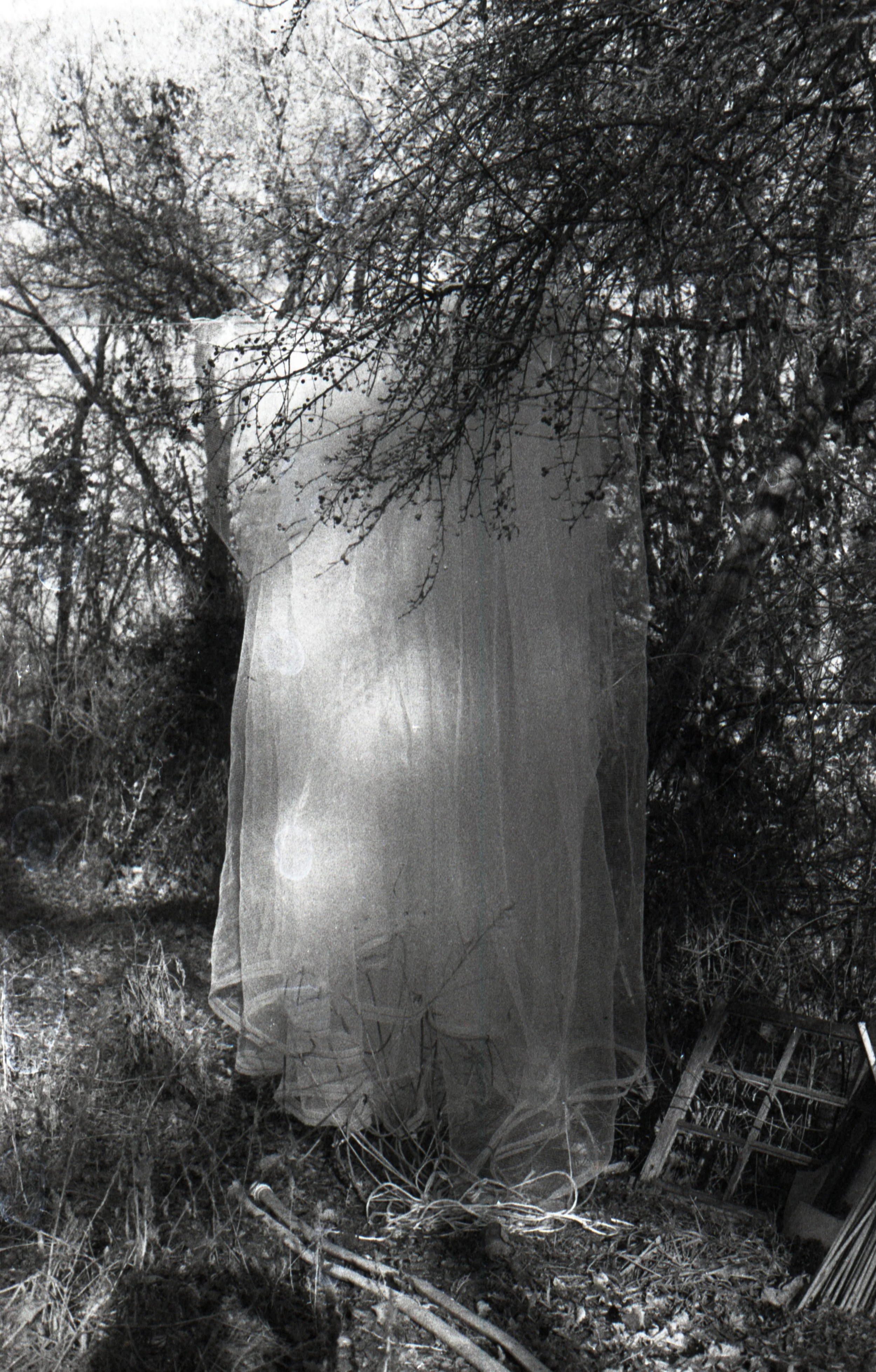 img20260115_20330730 2.jpg