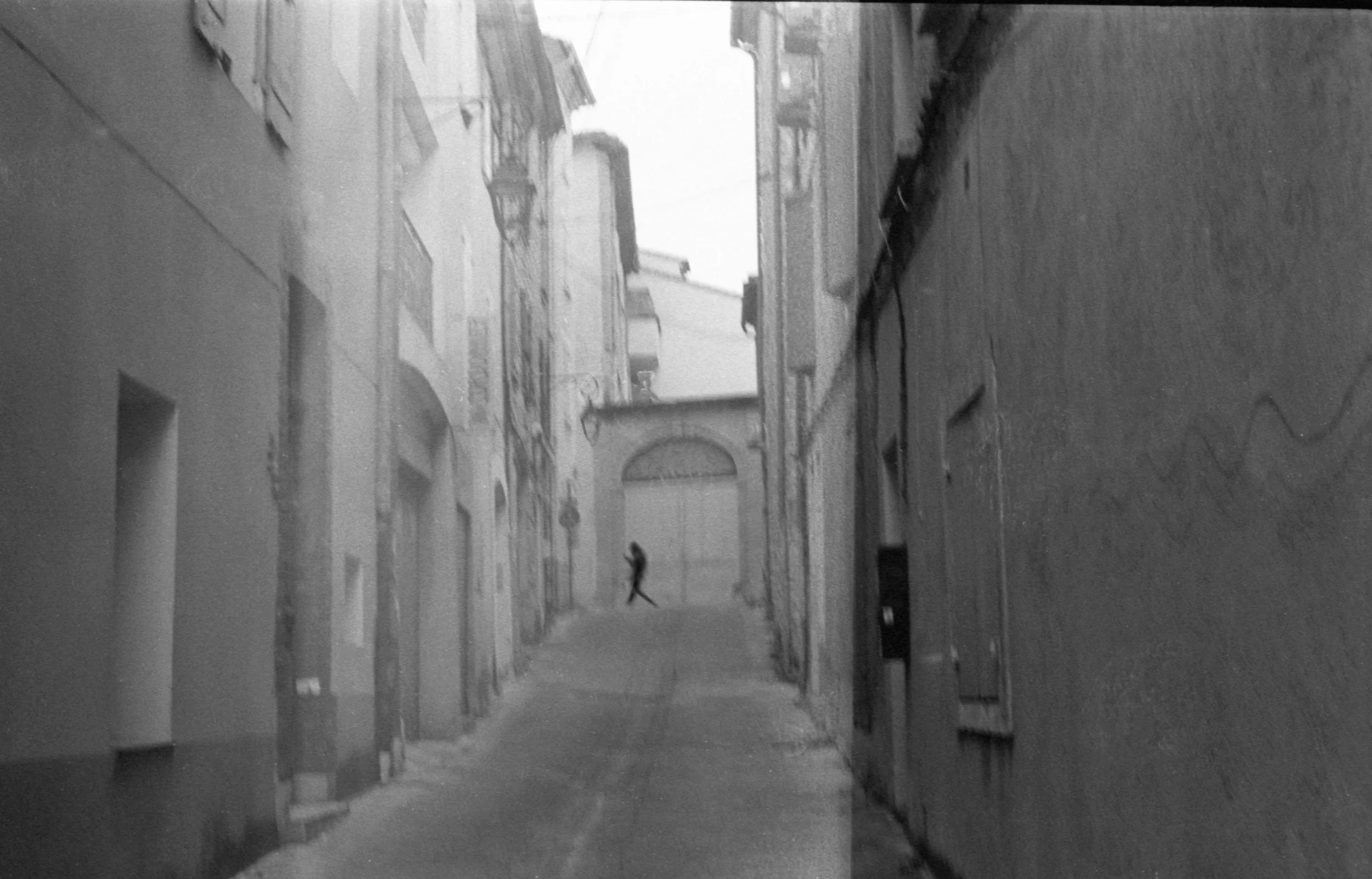 img20260129_20321343 edit.jpg