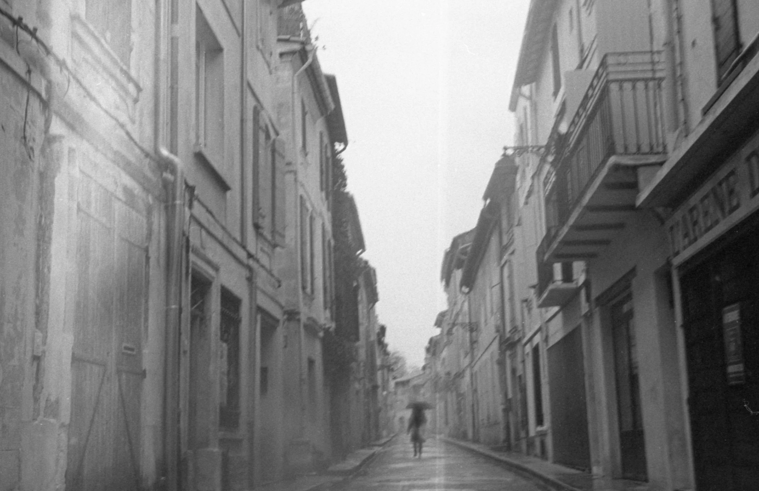 img20260131_18210354 edit.jpg