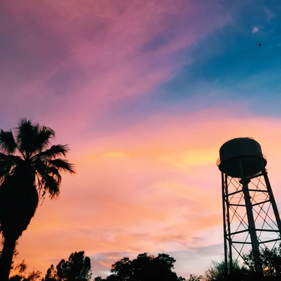 5 things I'll miss most about Davis 