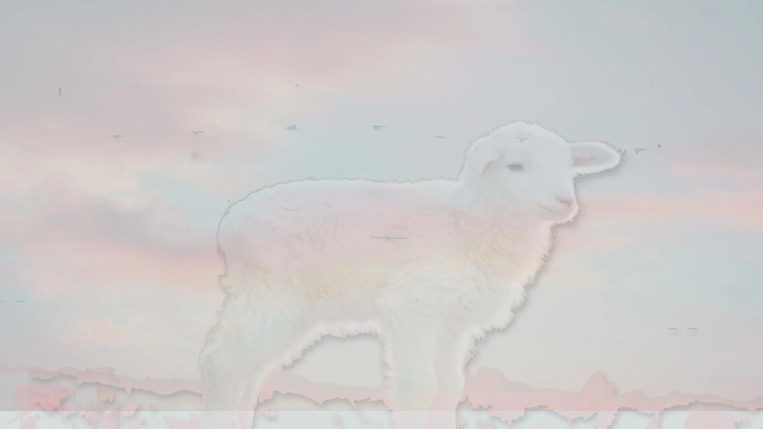 Behold the Lamb of God Scripture background .jpg