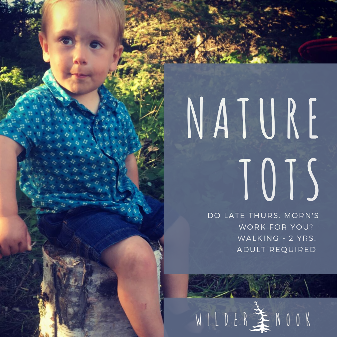 Nature Tots Mini Sessions to Kick Off your Summer!