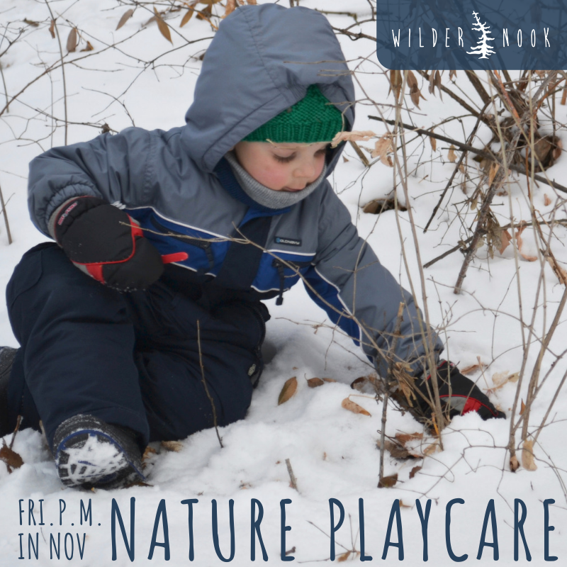 Nature Playcare in November -Friday Afternoons