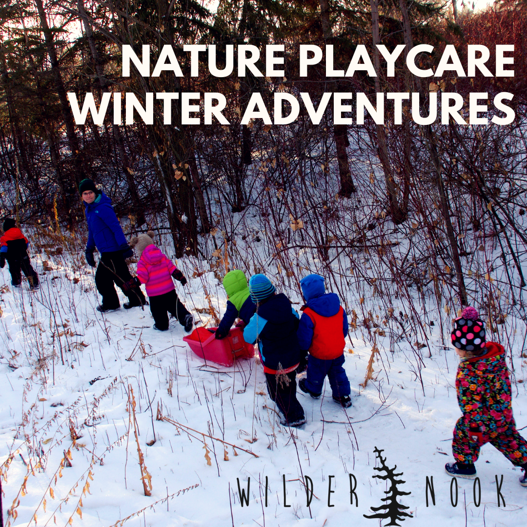 Nature Playcare - Winter Adventures