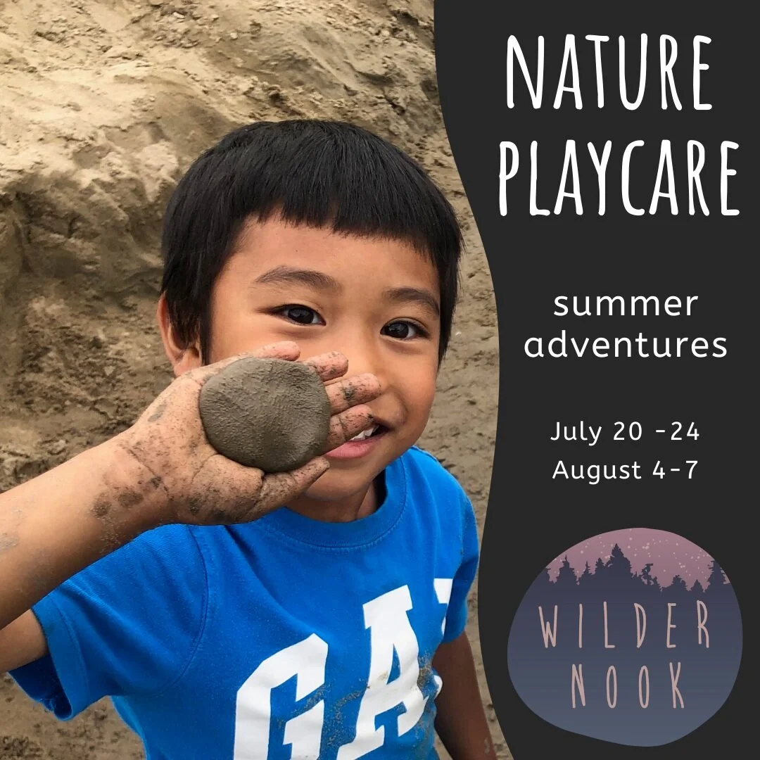 Nature Playcare - Summer Adventures