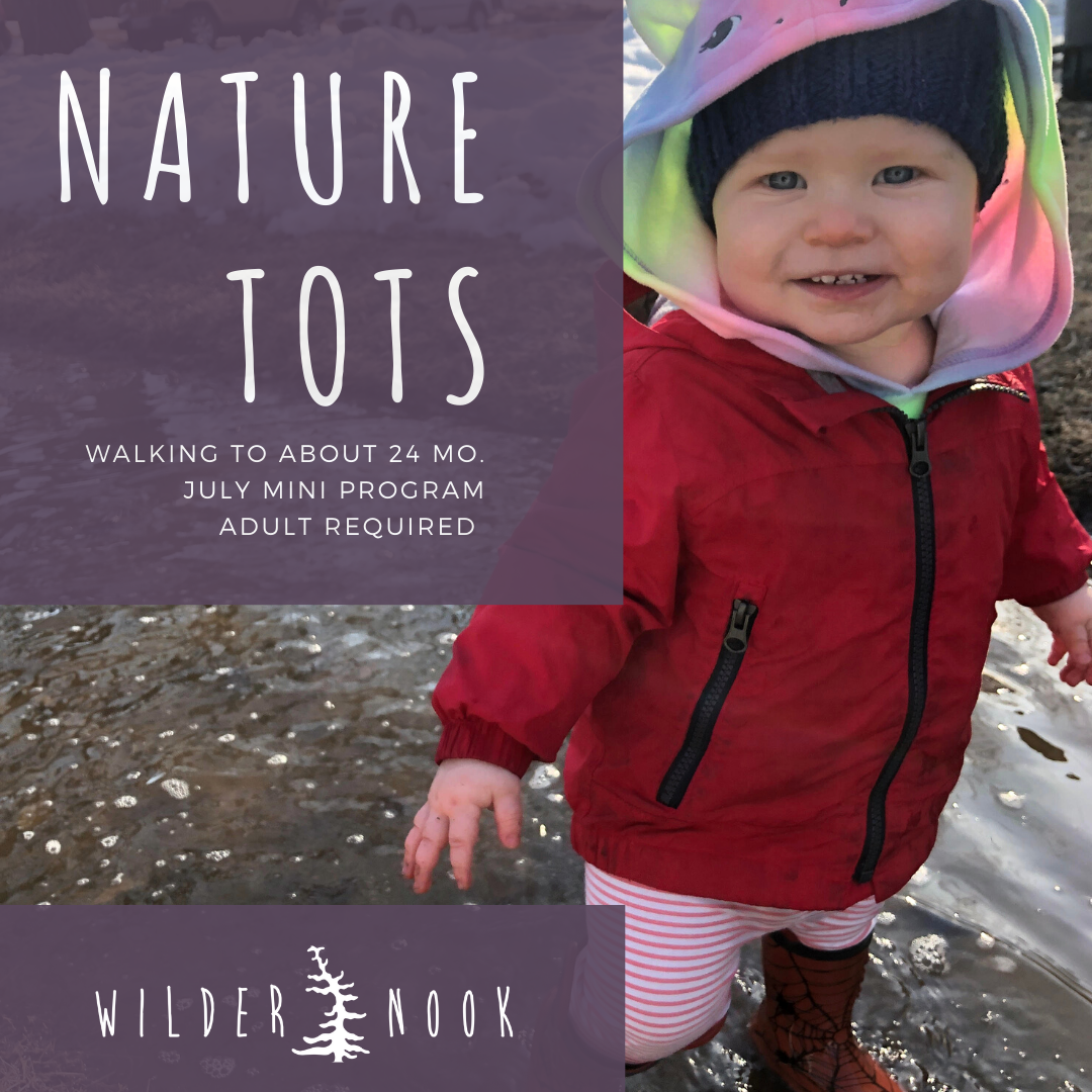 Nature Tots July Summer Program