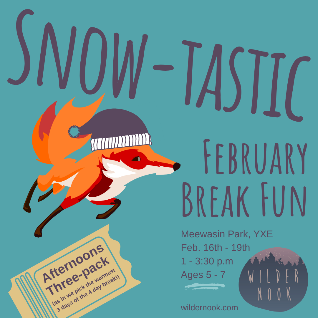 Snow-tastic! February Break Fun (Three warmest afternoons)