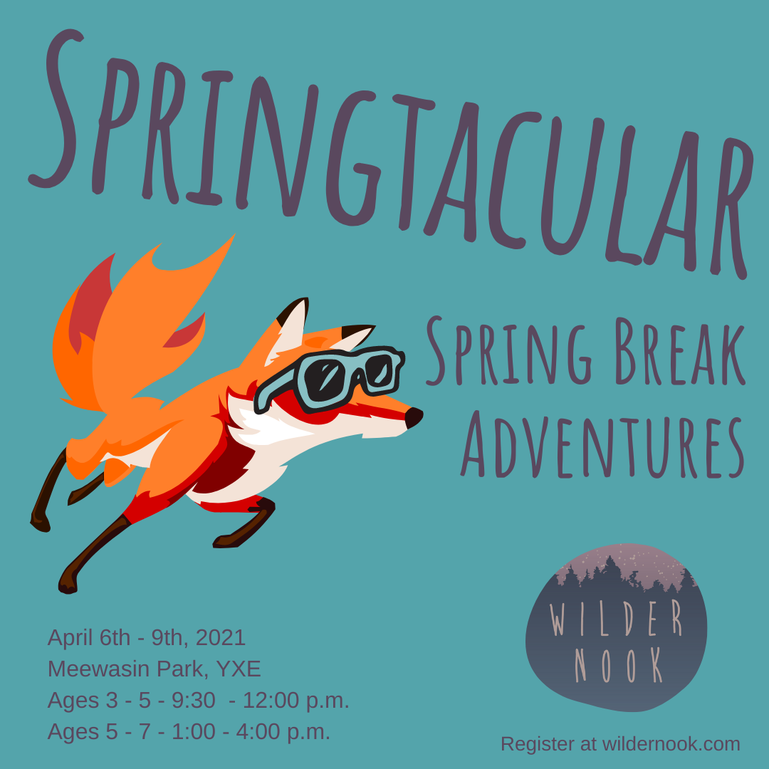 Springtacular Spring Break Adventures (4 half days)