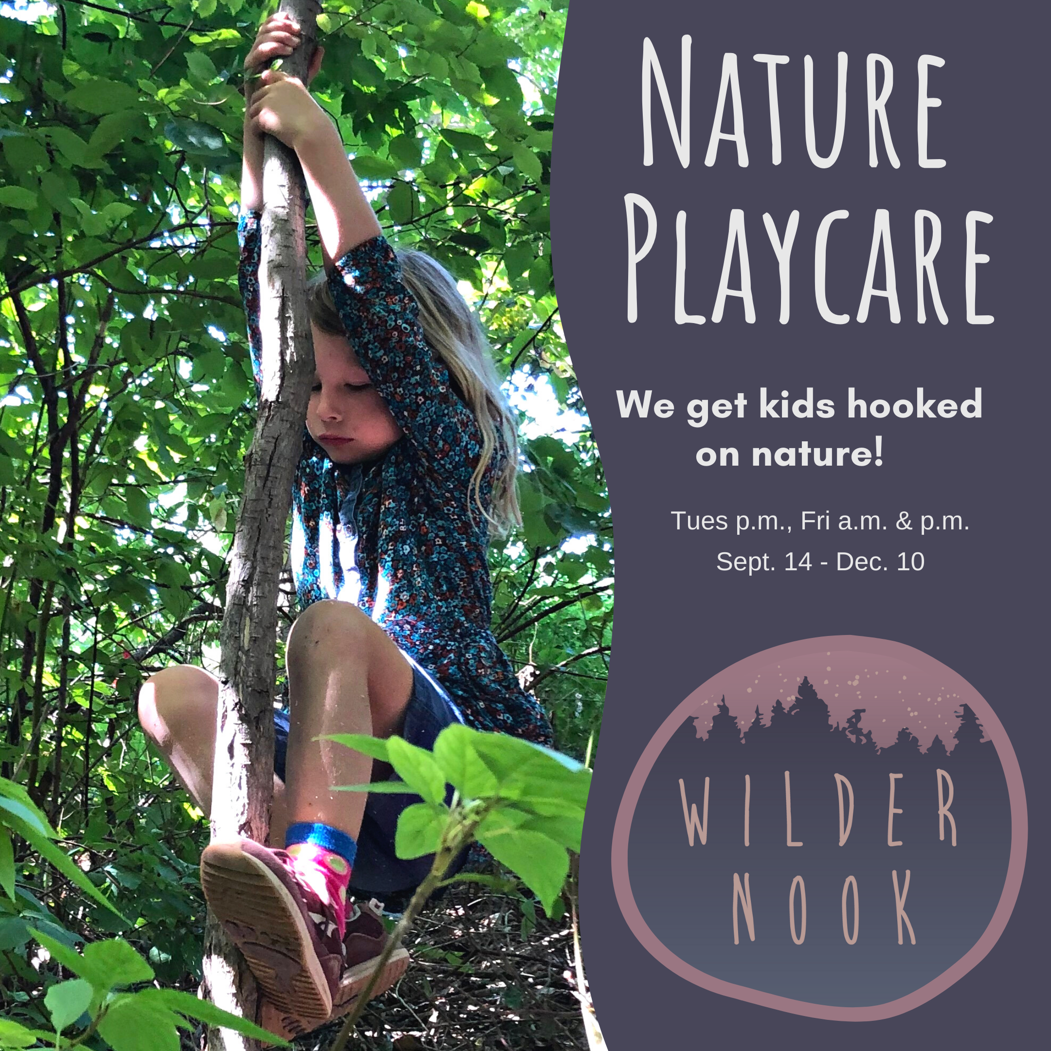 Nature Playcare - Autumn Adventures!